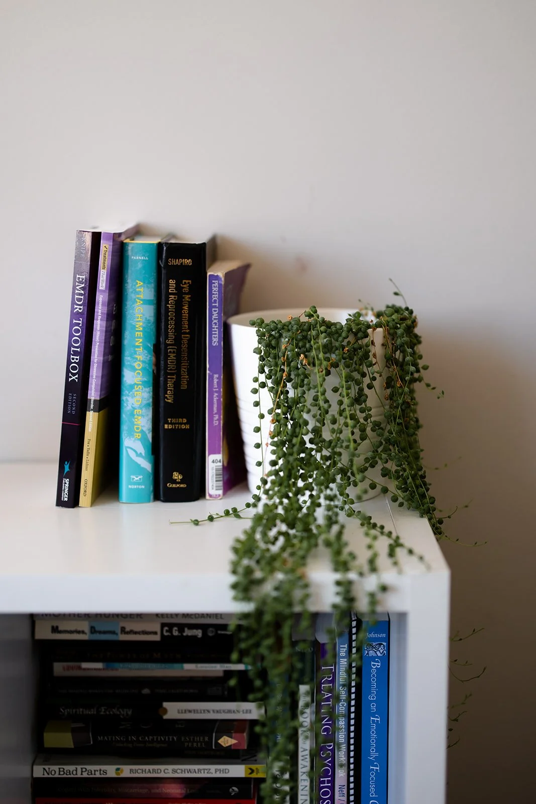 You'll find books and plants throughout our space.