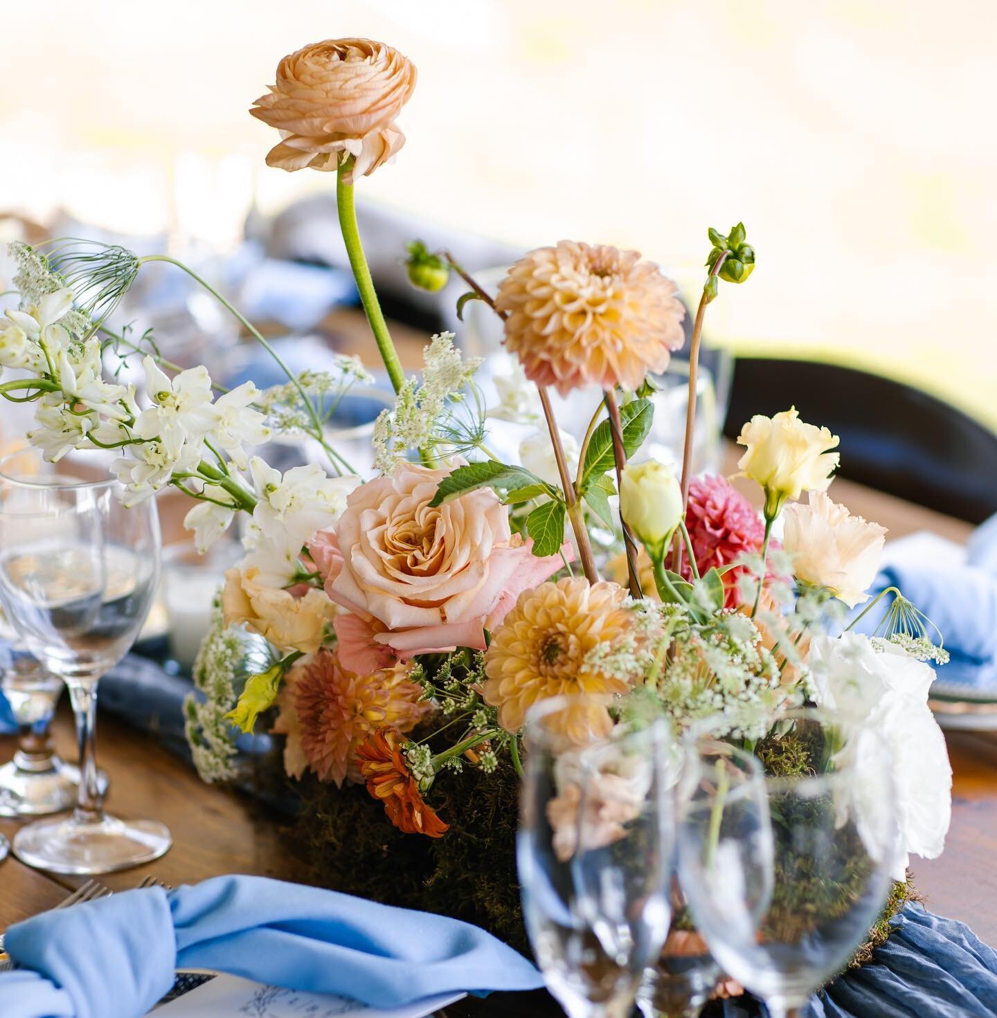 Moss base and airy citrus blooms 🤩 love seeing the flowers in the changing sunlight

Photo by @annazajacweddings 
Venue @vineyardweddings @12cornersvineyards