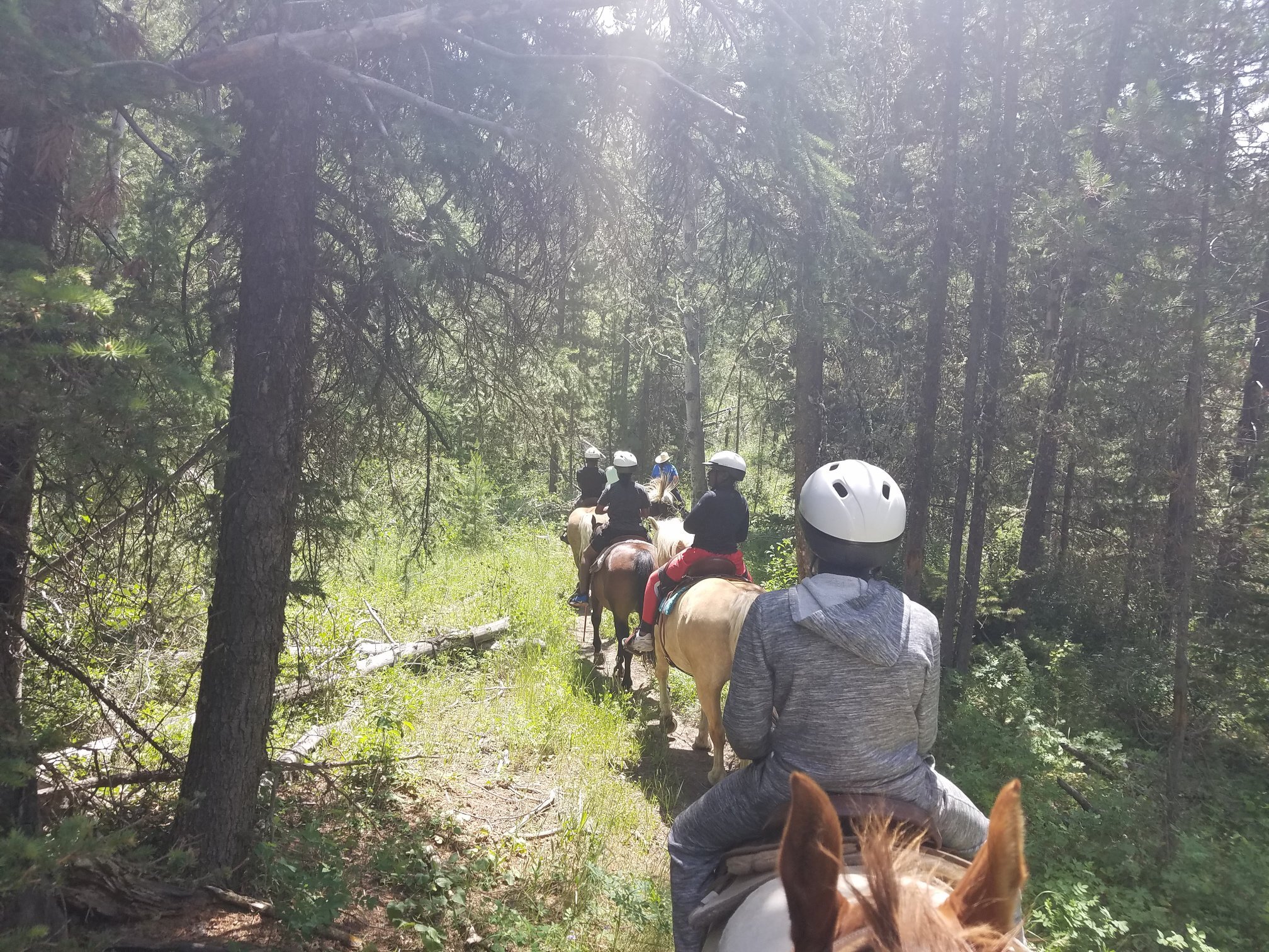 Kids are running and jumping. So are parents: Camp is back.