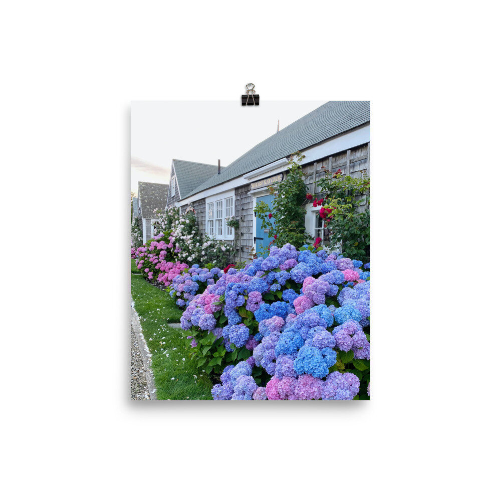 enhanced-matte-paper-poster-%28in%29-8x10-transparent-60e4aa4277593.jpg