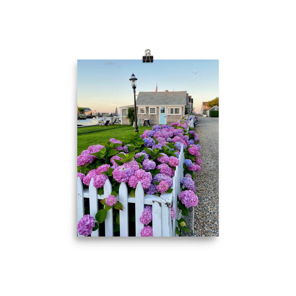 enhanced-matte-paper-poster-%28in%29-8x10-transparent-60e4ac4e0b793.jpg