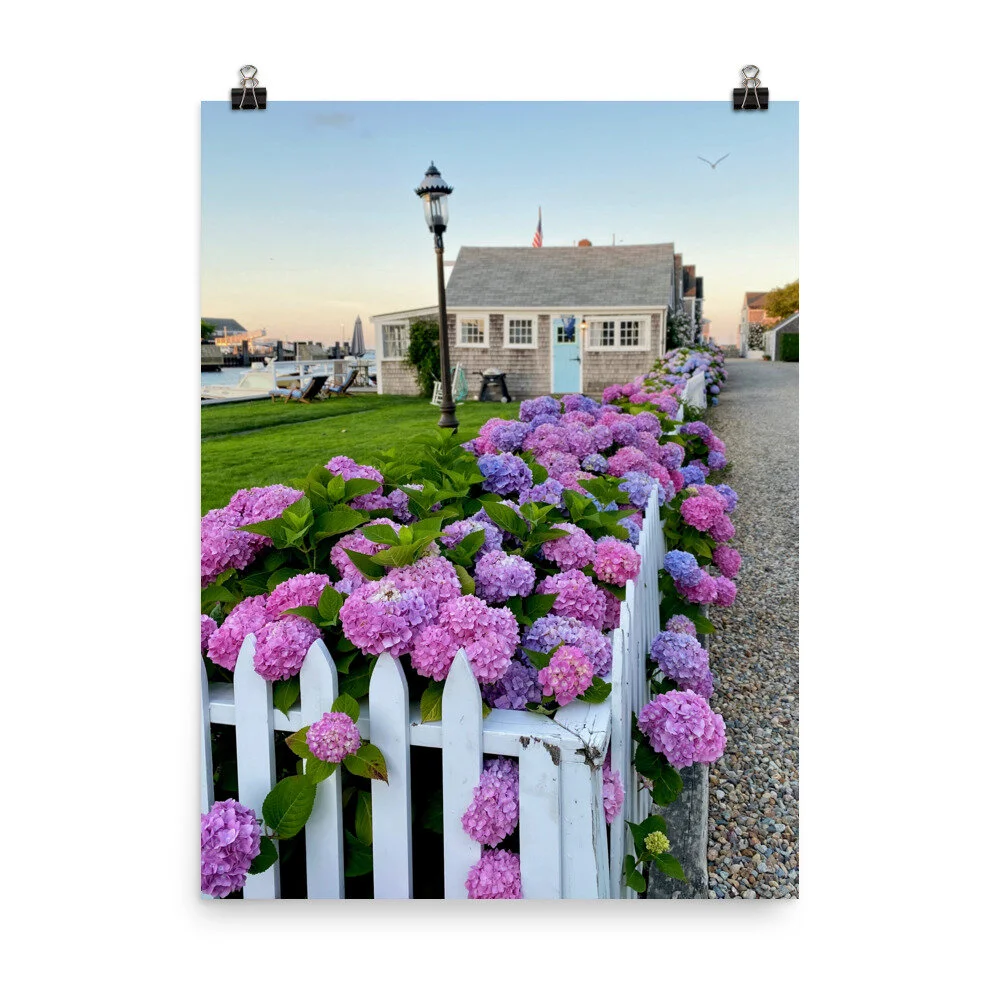 enhanced-matte-paper-poster-%28in%29-18x24-transparent-60e4ac4e0b71b.jpg