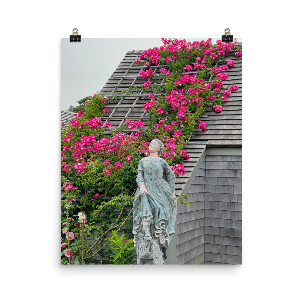 enhanced-matte-paper-poster-%28in%29-16x20-transparent-60edab4c9c1d2.jpg