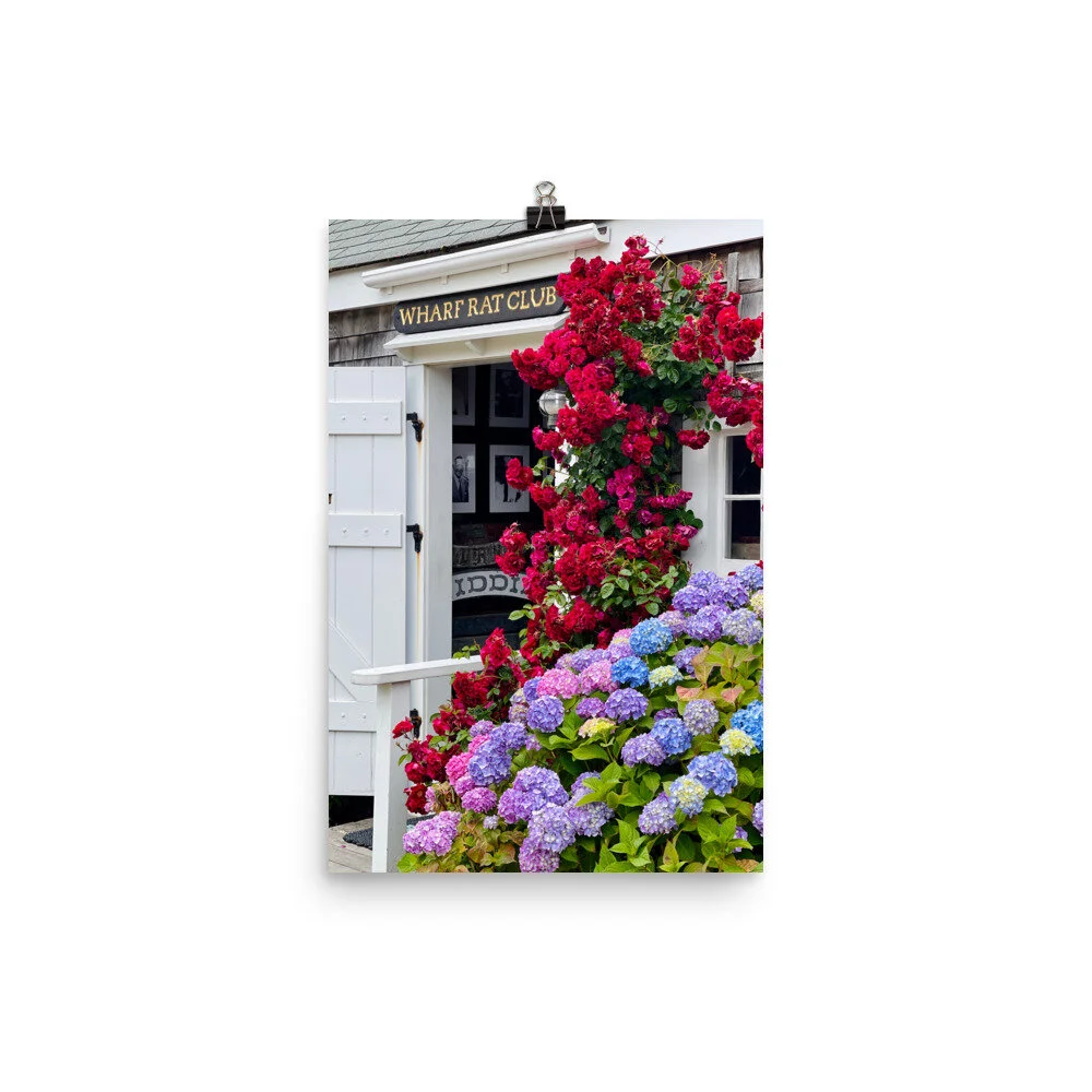 enhanced-matte-paper-poster-%28in%29-12x18-transparent-60edace39fcaf.jpg