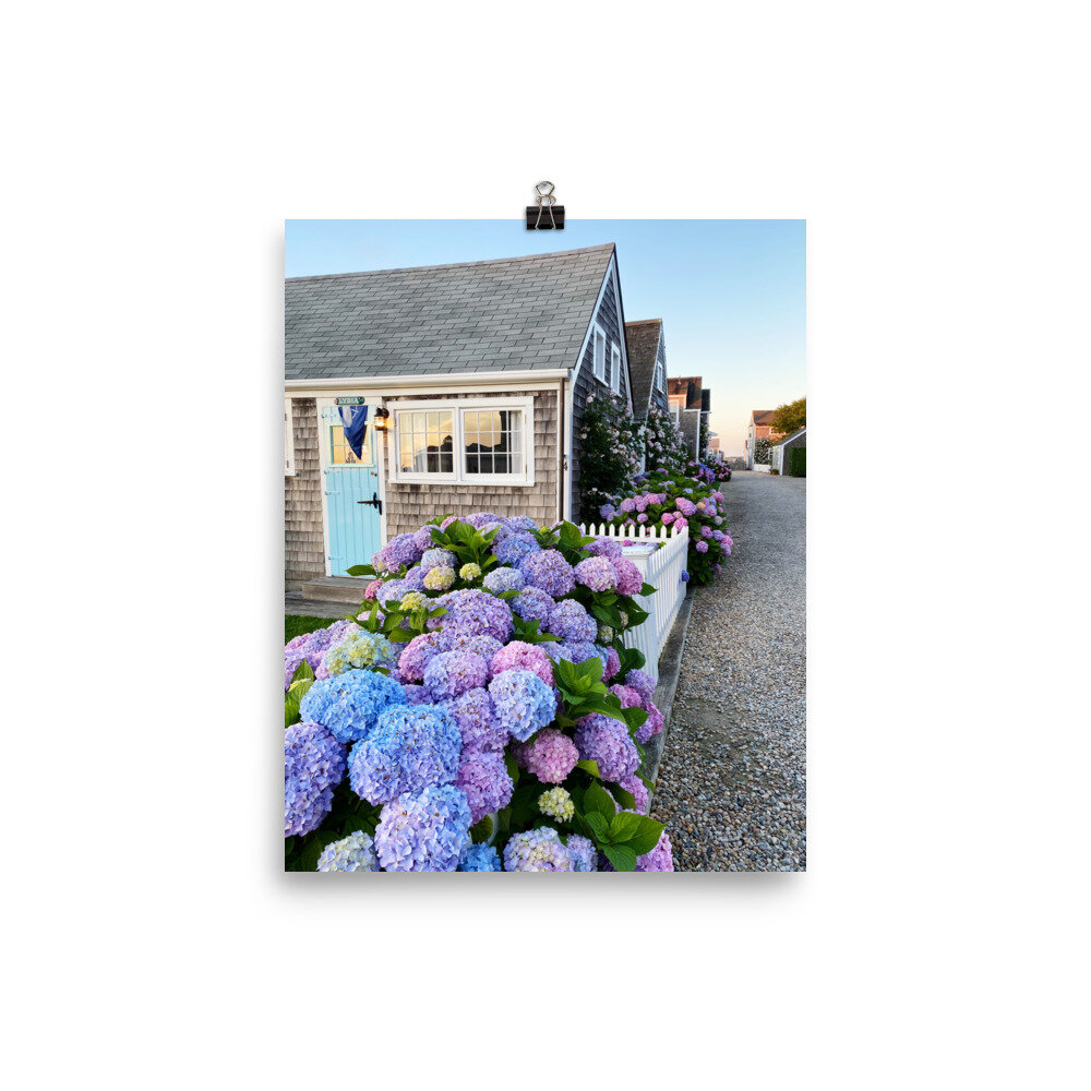 enhanced-matte-paper-poster-(in)-8x10-transparent-6105f19dd9be0.jpg