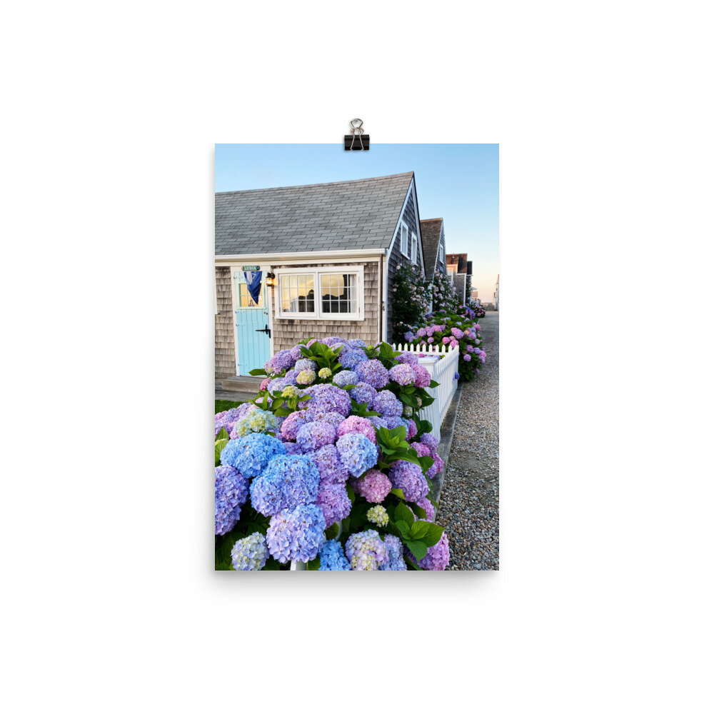 enhanced-matte-paper-poster-(in)-12x18-transparent-6105f19dd9e29.jpg