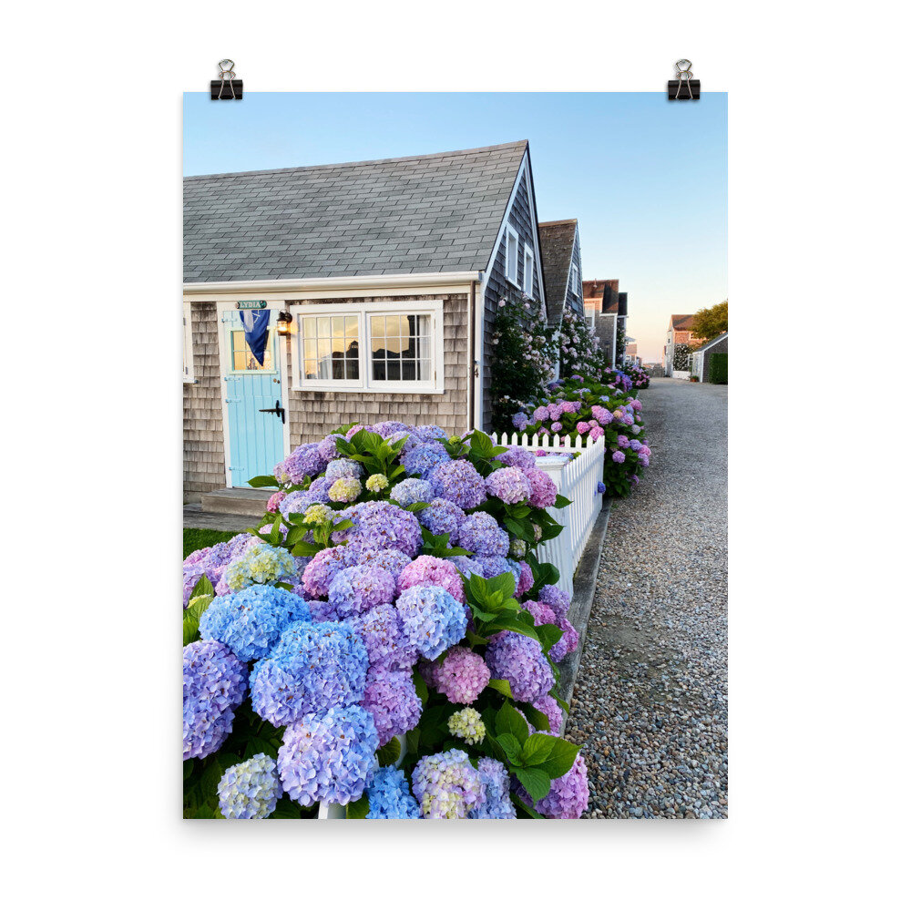 enhanced-matte-paper-poster-(in)-18x24-transparent-6105f19dd9fa8.jpg