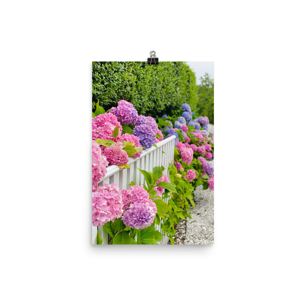 enhanced-matte-paper-poster-(in)-12x18-transparent-6105f82e635ff.jpg