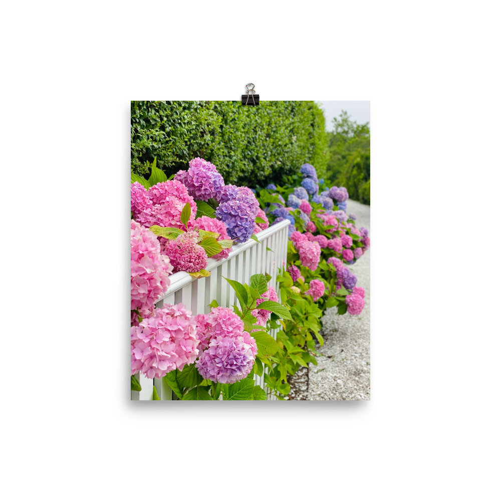 enhanced-matte-paper-poster-(in)-8x10-transparent-6105f82e637b3.jpg