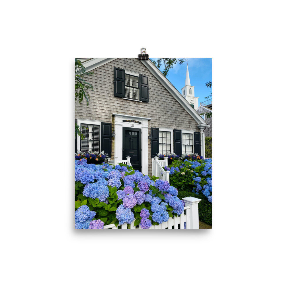 enhanced-matte-paper-poster-(in)-8x10-transparent-6105f892efaa0.jpg