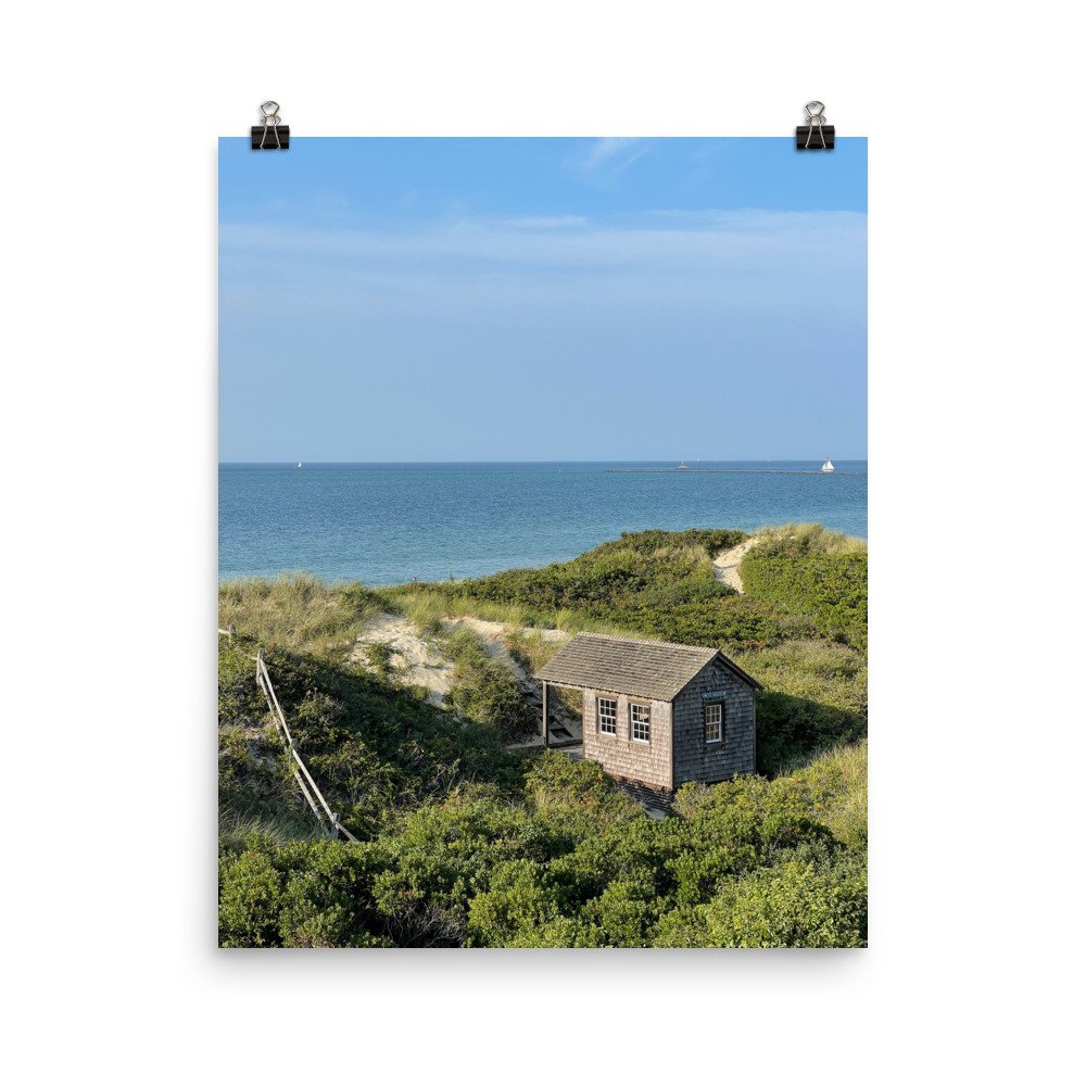 enhanced-matte-paper-poster-(in)-16x20-transparent-618ad66b3a897.jpg