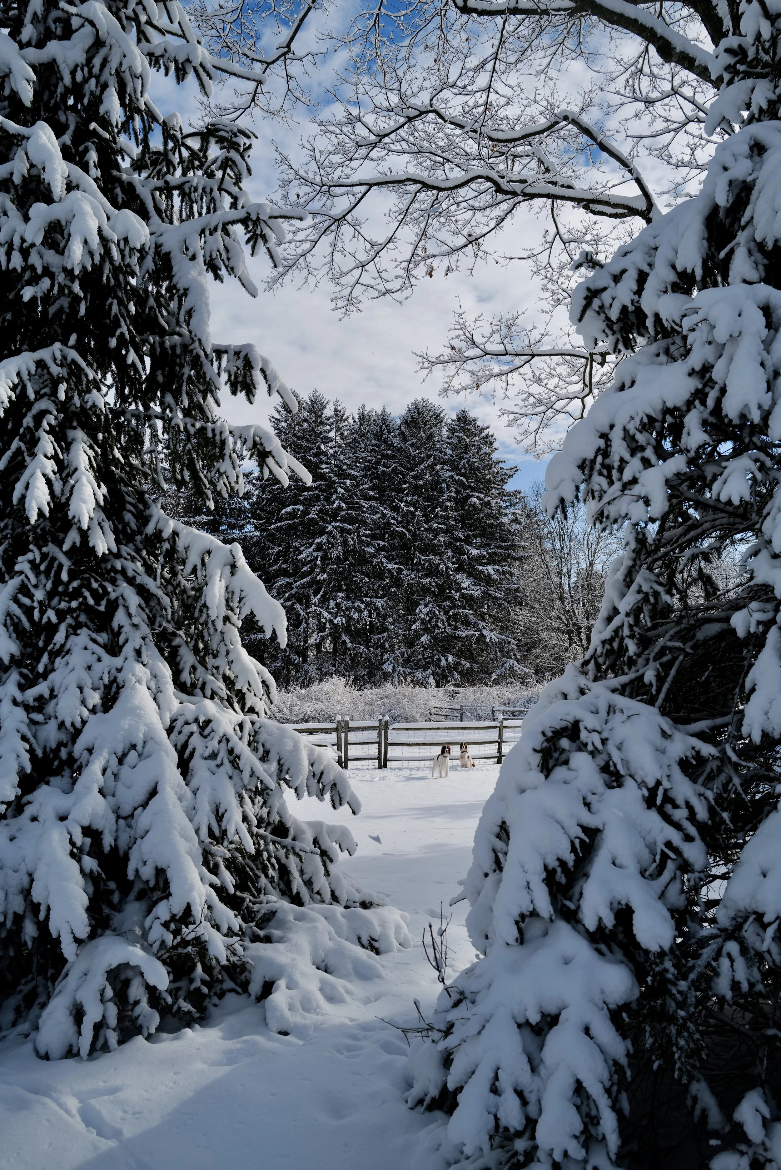 What to watch when you’re snowed in