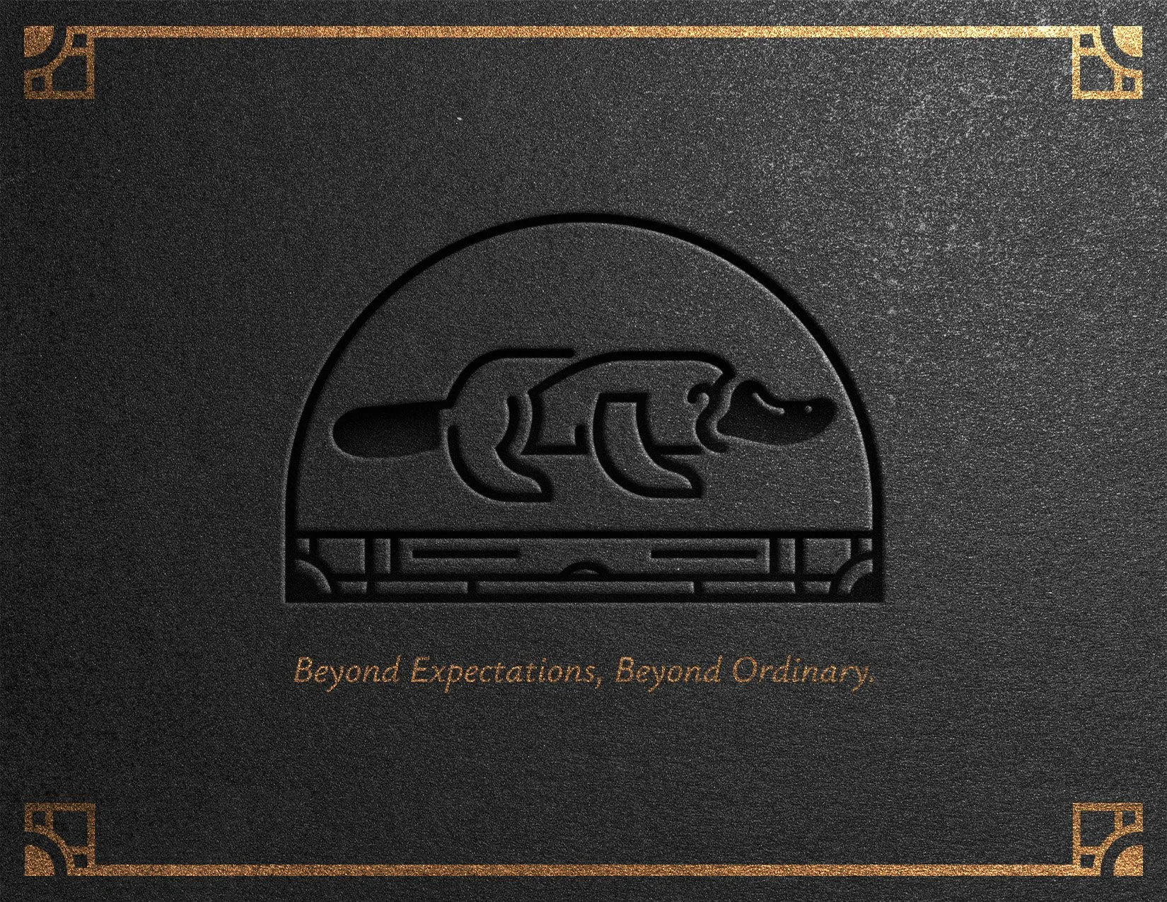 ProvidenceCapital_BlackCutout.jpg