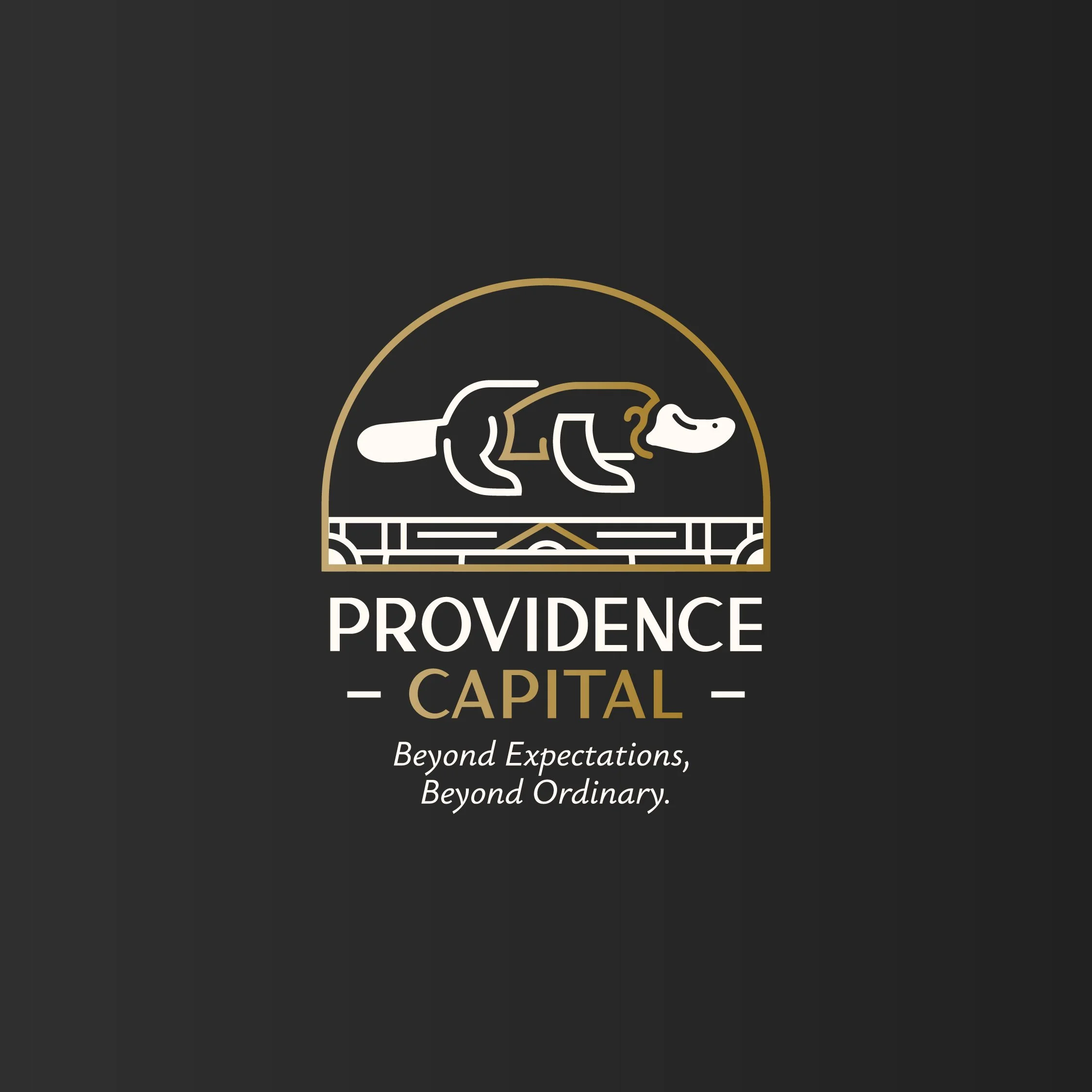 Portfolio_ProvidenceCapital_CoverSquare.jpg