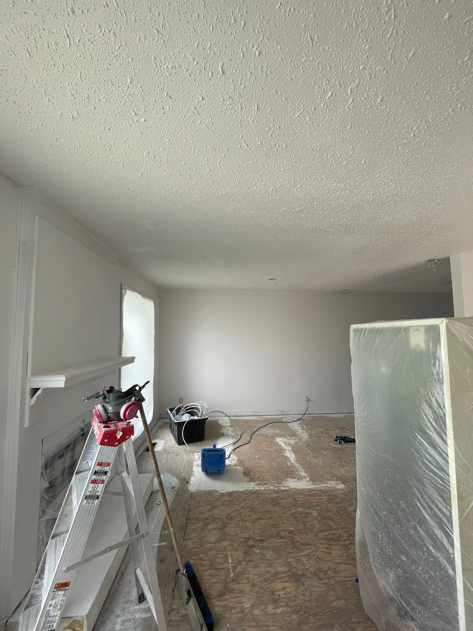 Ceiling painting repairs service