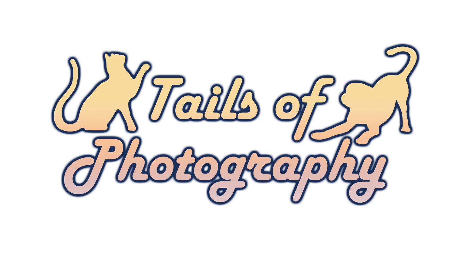 Tails of Photography