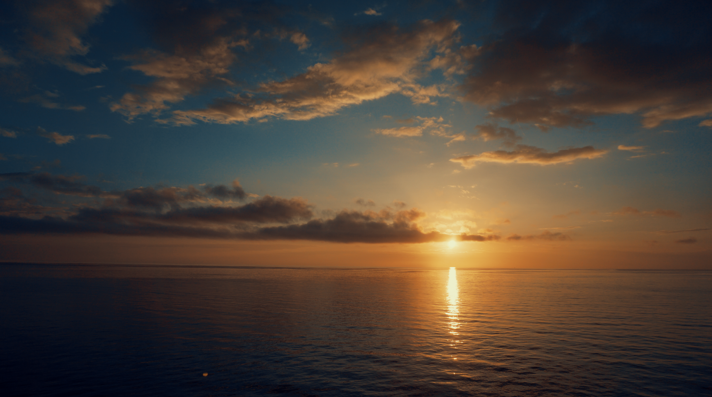 Screen Shot 2023-01-28 at 2.42.40 PM.png