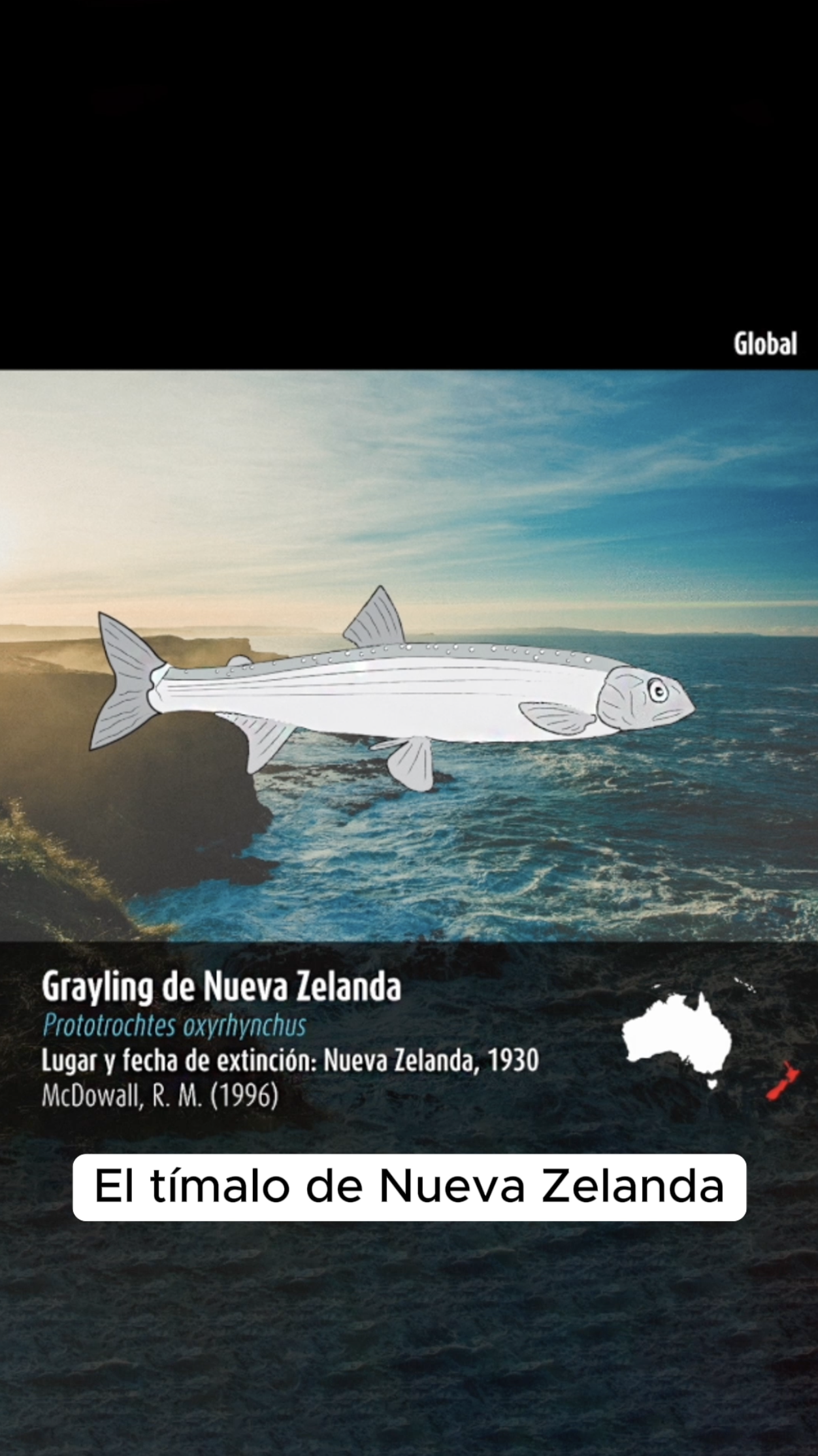Captura de pantalla 2024-02-21 a la(s) 4.42.53 a.m..png
