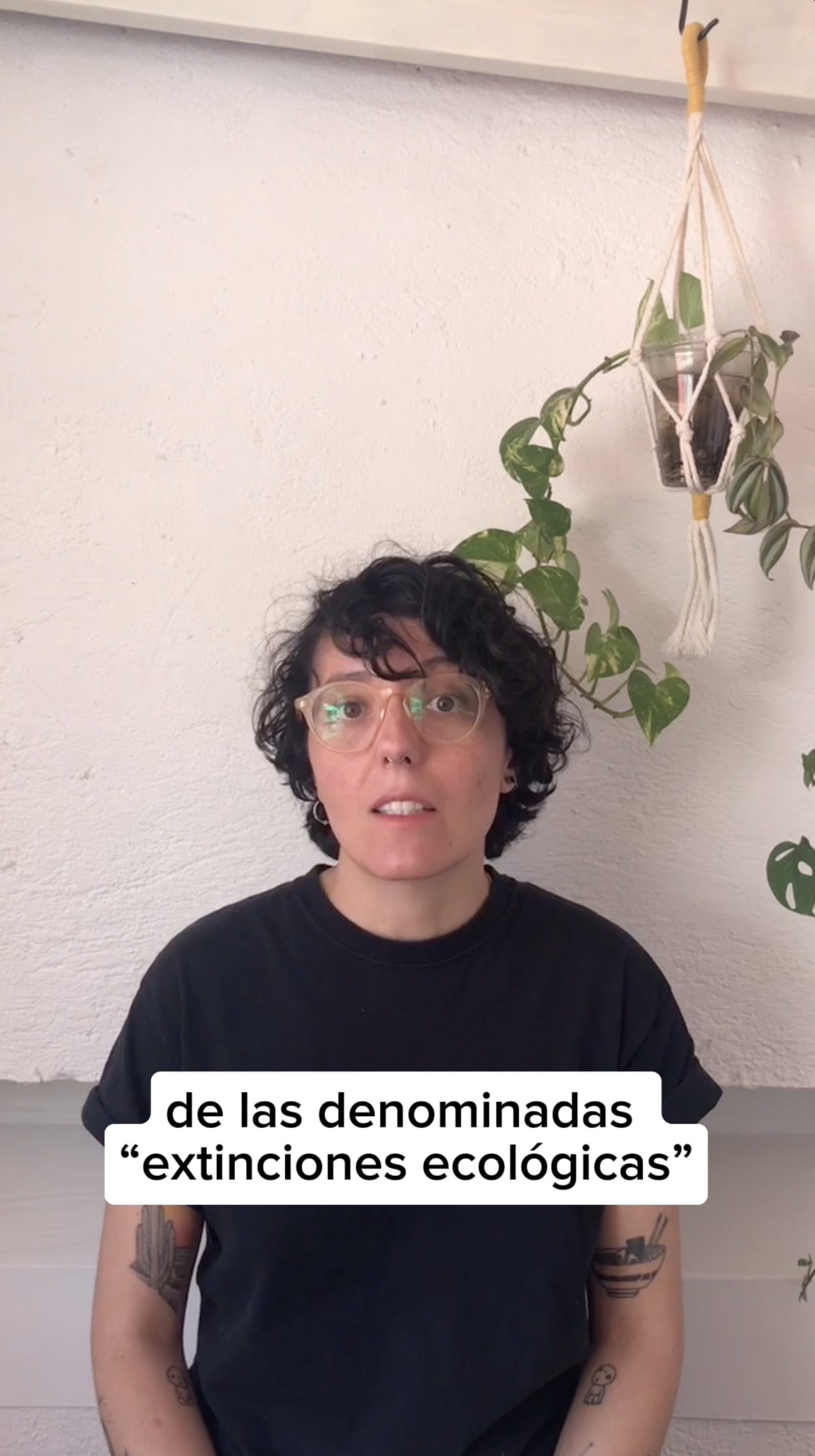 Captura de pantalla 2024-02-21 a la(s) 4.45.40 a.m..png