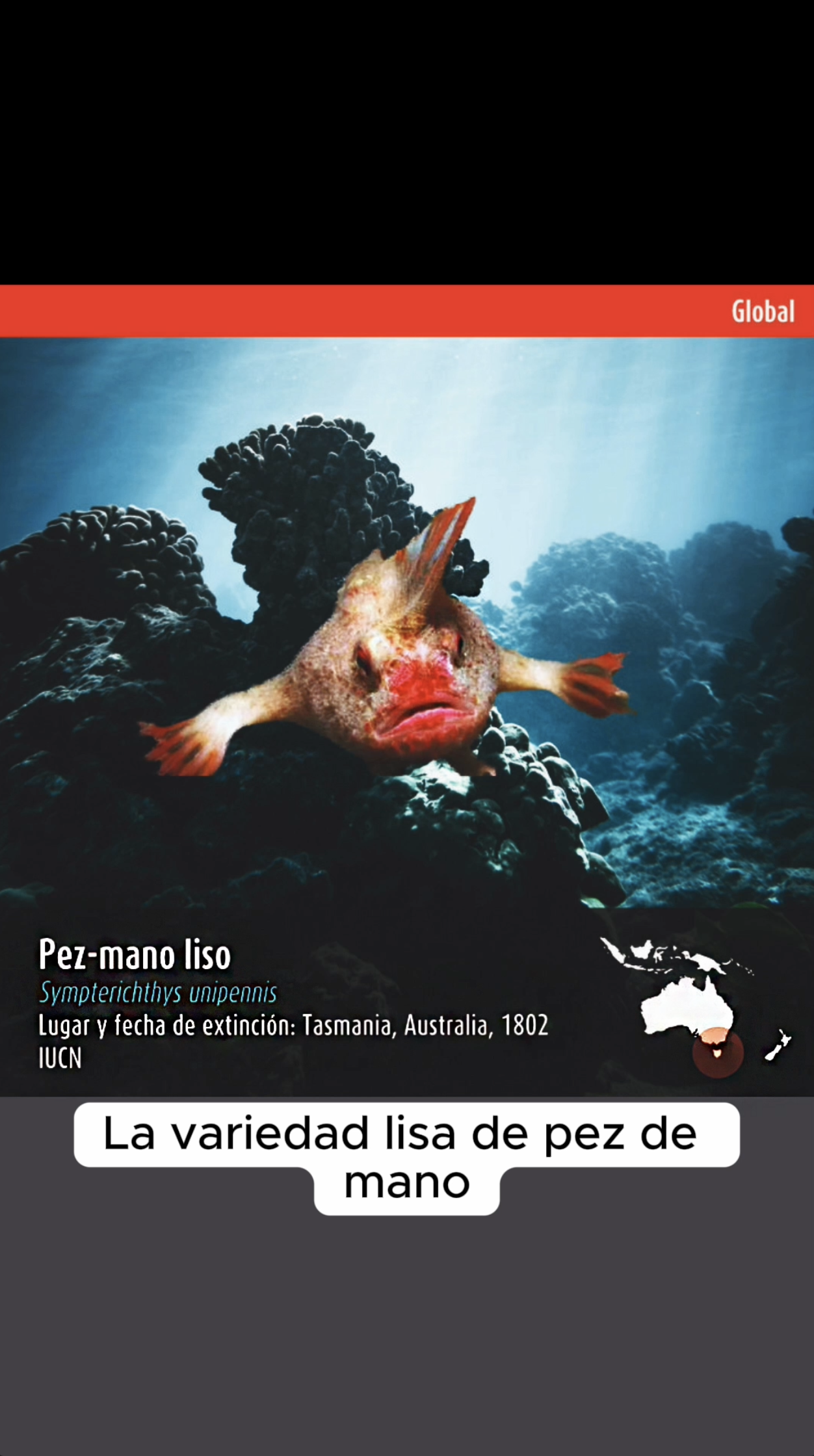 Captura de pantalla 2024-02-21 a la(s) 5.02.50 a.m..png