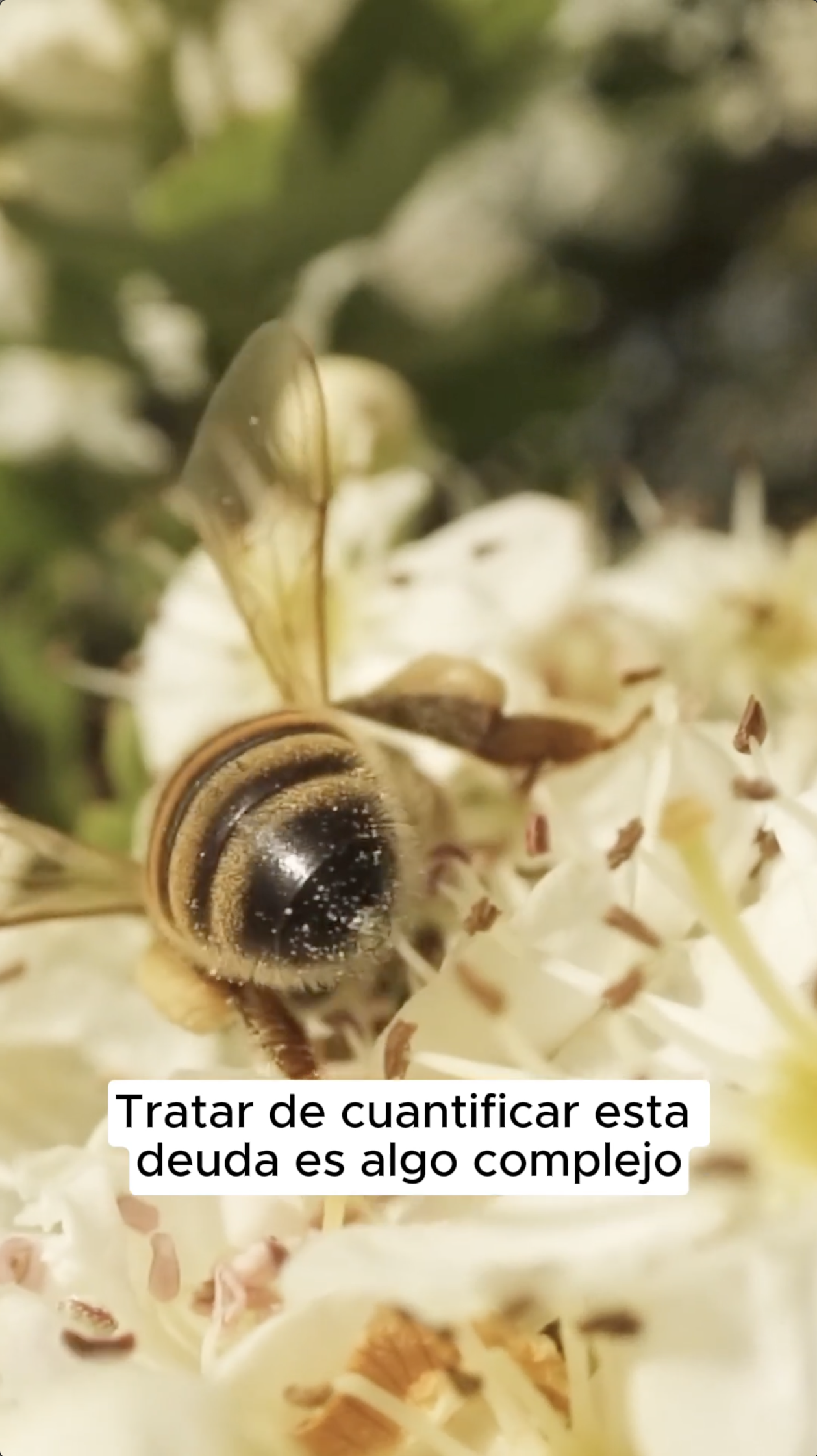 Captura de pantalla 2024-02-21 a la(s) 5.04.47 a.m..png