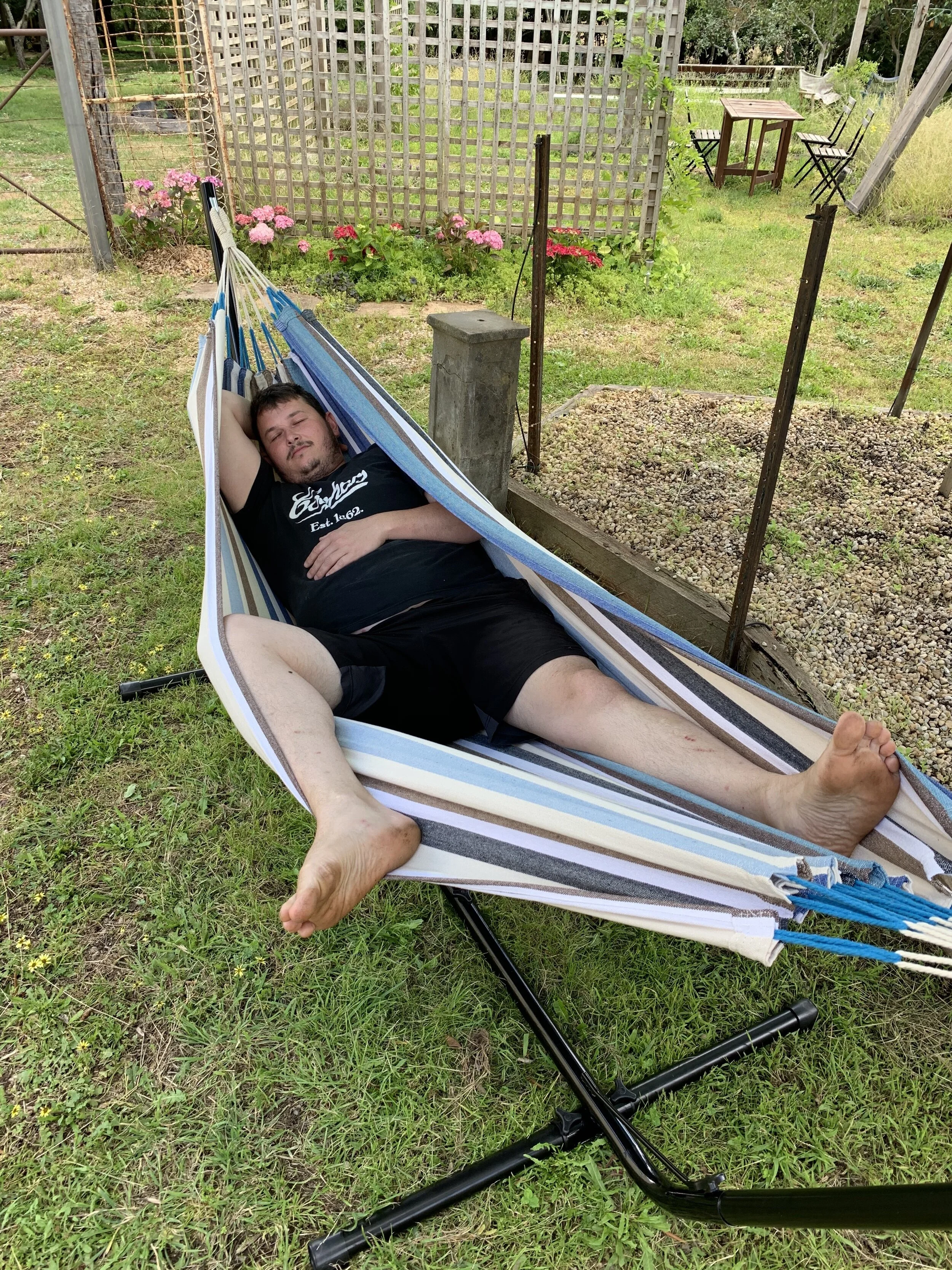 Going Live - 7 steps to avoid procrastination and publish your blog.