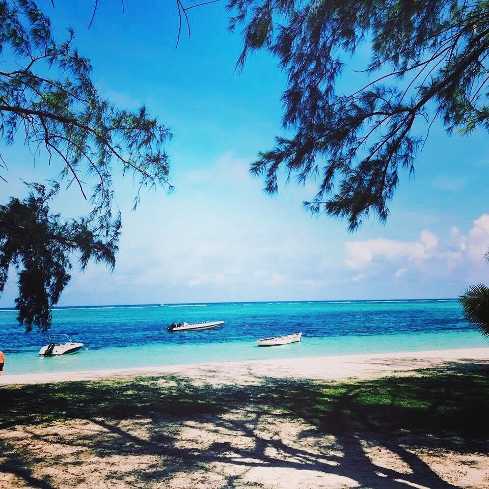 Where to shop (or not shop)  in Mauritius