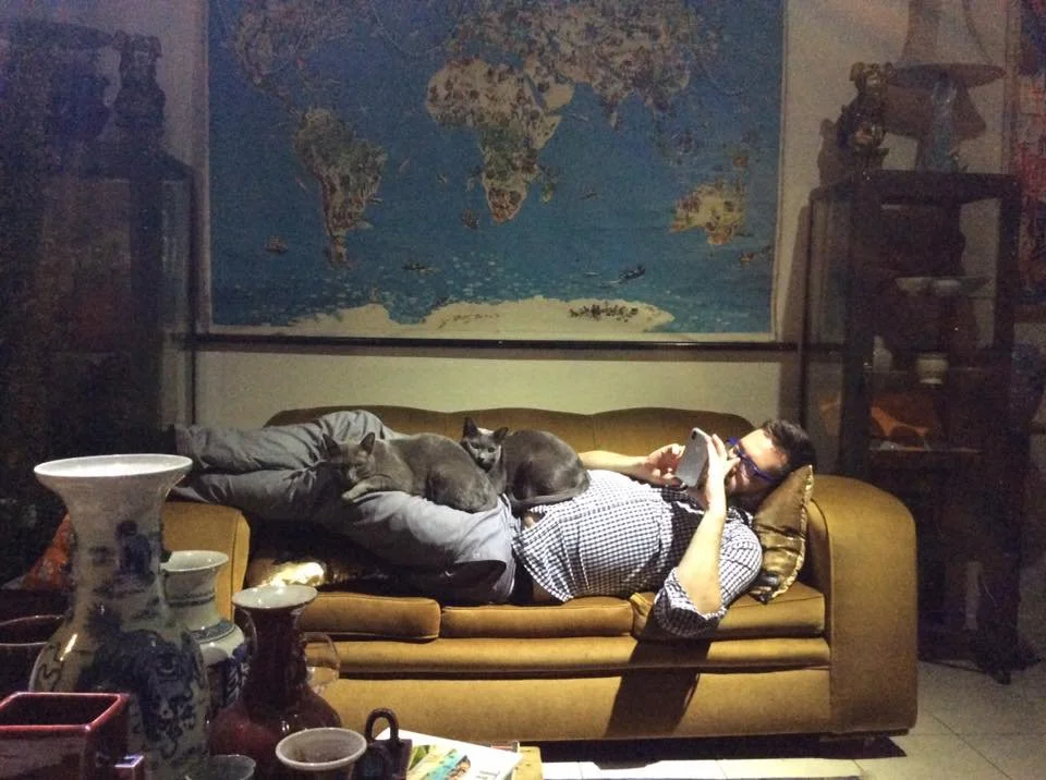 Korat cats and the mysterious Nakhon Ratchasima province. 