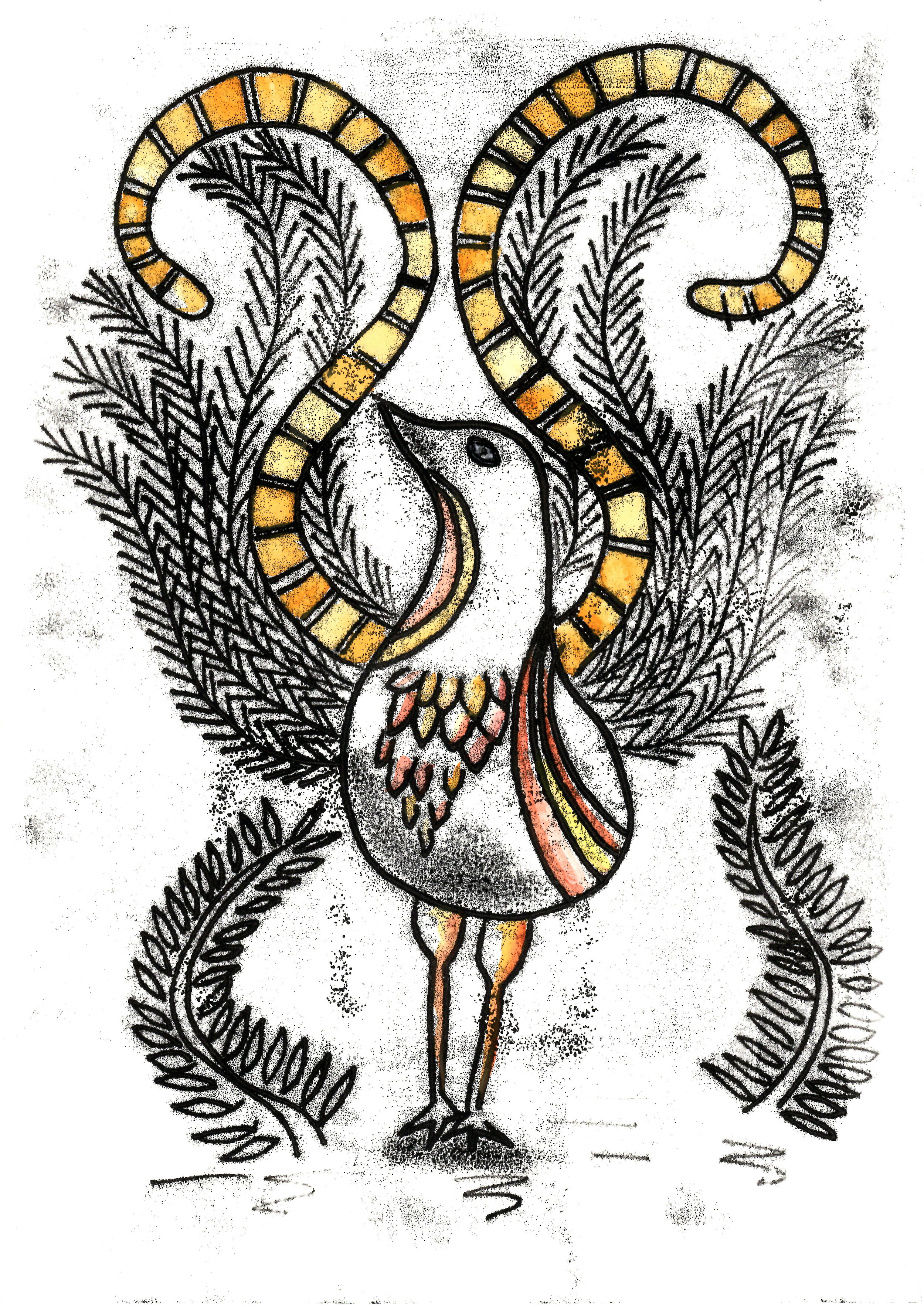 Lyrebird.JPG