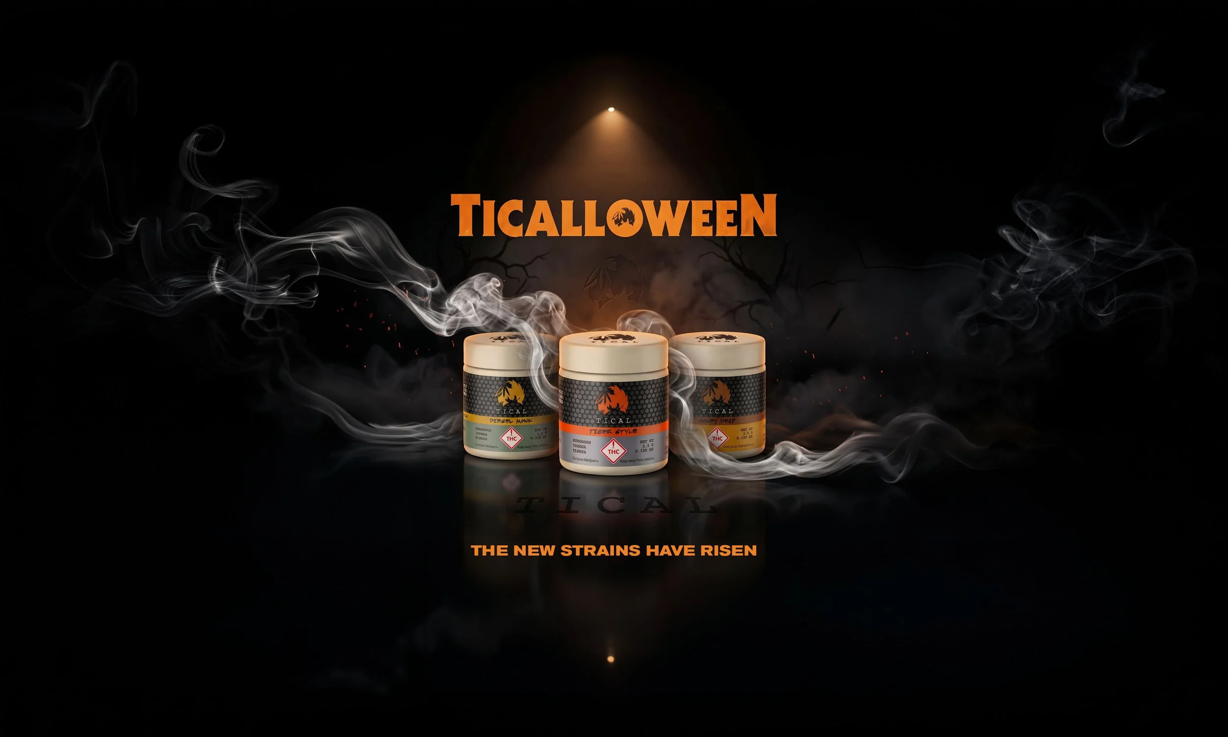 TICALLOWEEN_PROMO_SQUARESPACE_V3.jpg