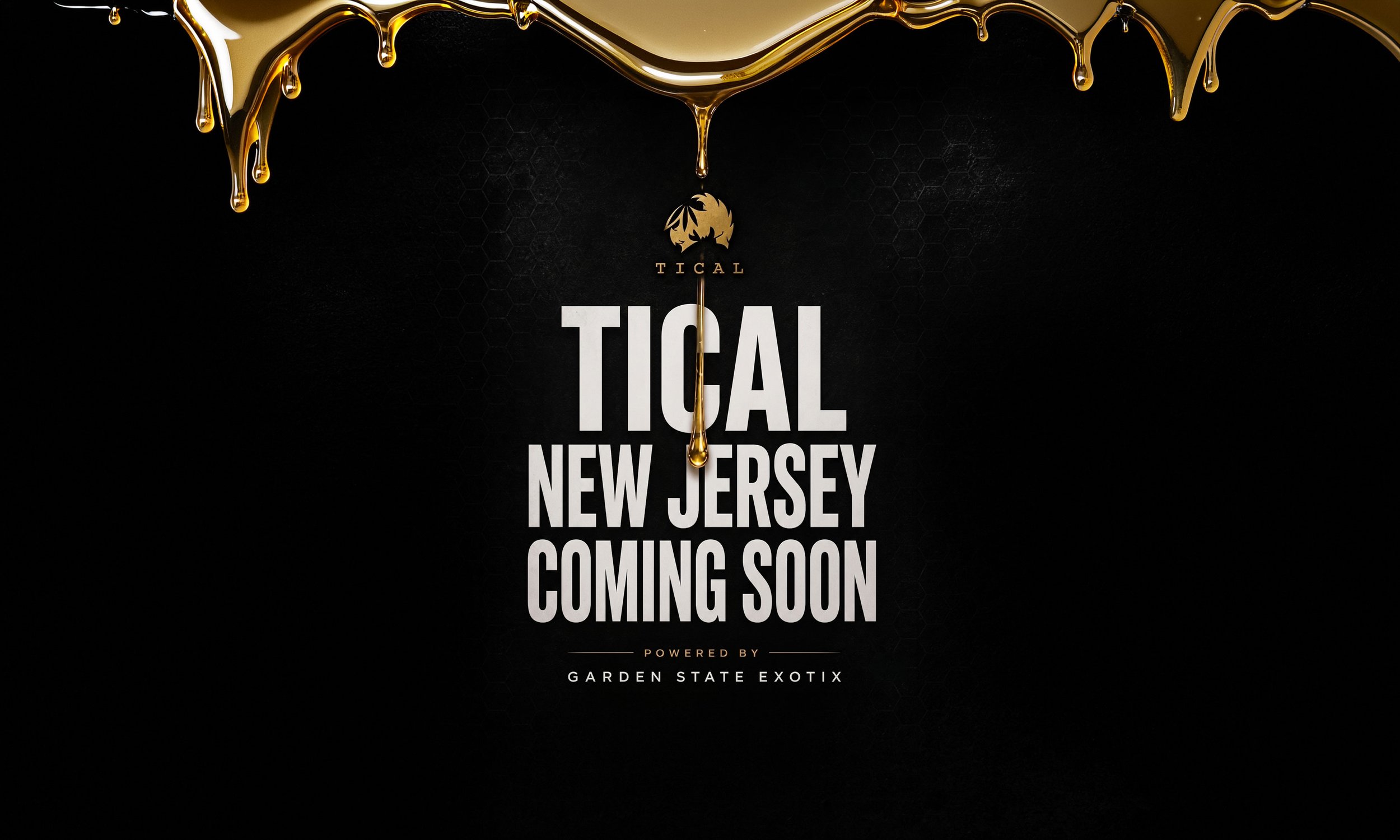 TICALNEWJERSEY_TEASER_SQUARESPACE_V02.jpg
