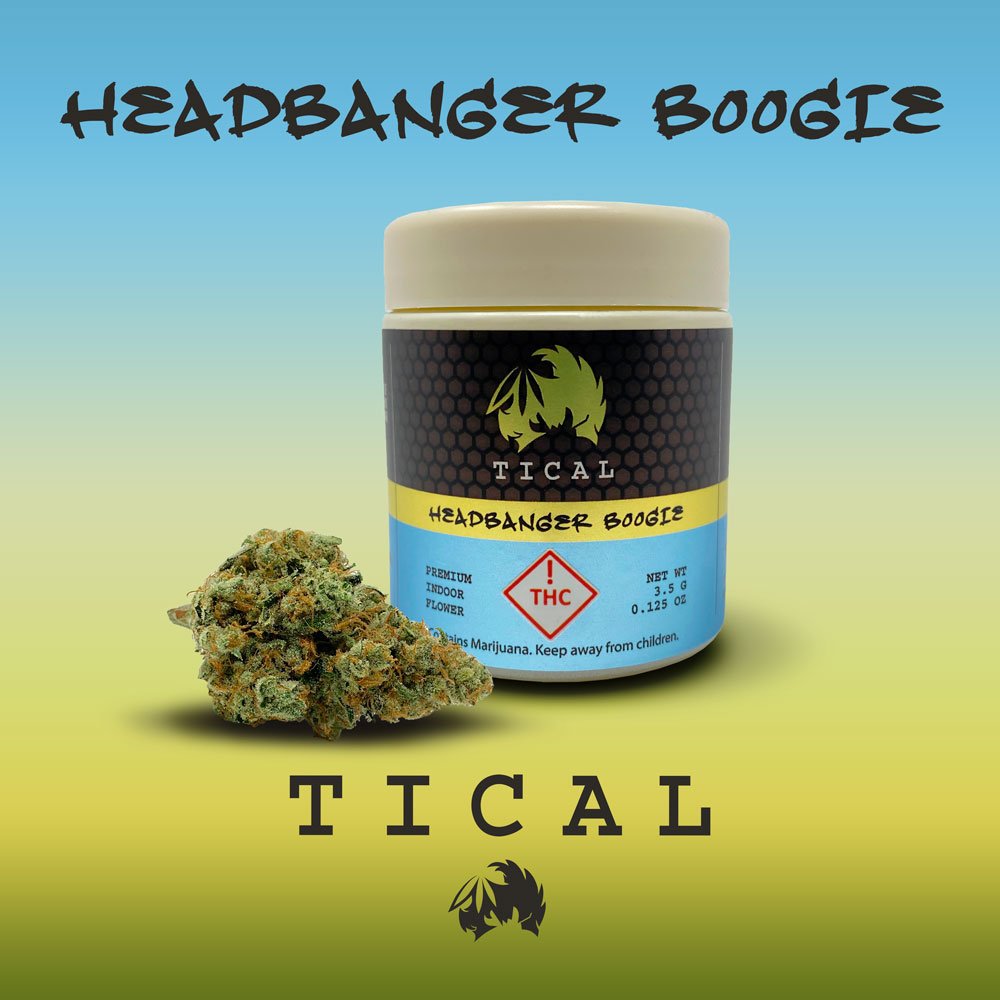 Headbanger Boogie — TICAL™ - Official Website - Taking Into Consideration  All Lives