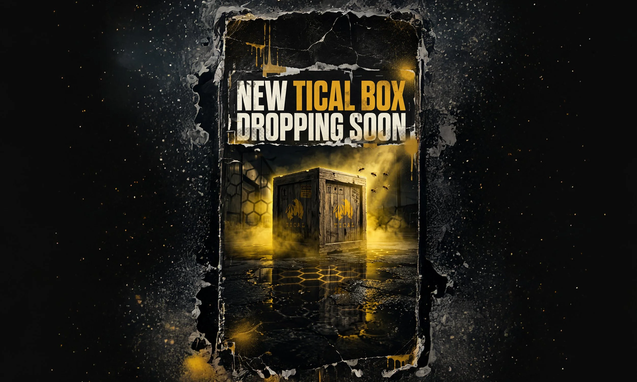 TICALBOX_TEASER_CRATE_SQUARESPACE.jpg