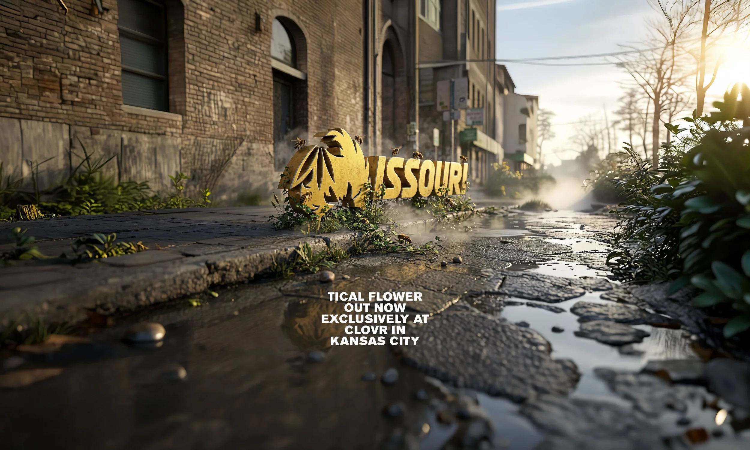 TICALMISSOURI_TEASER_SQUARESPACE_V02.jpg