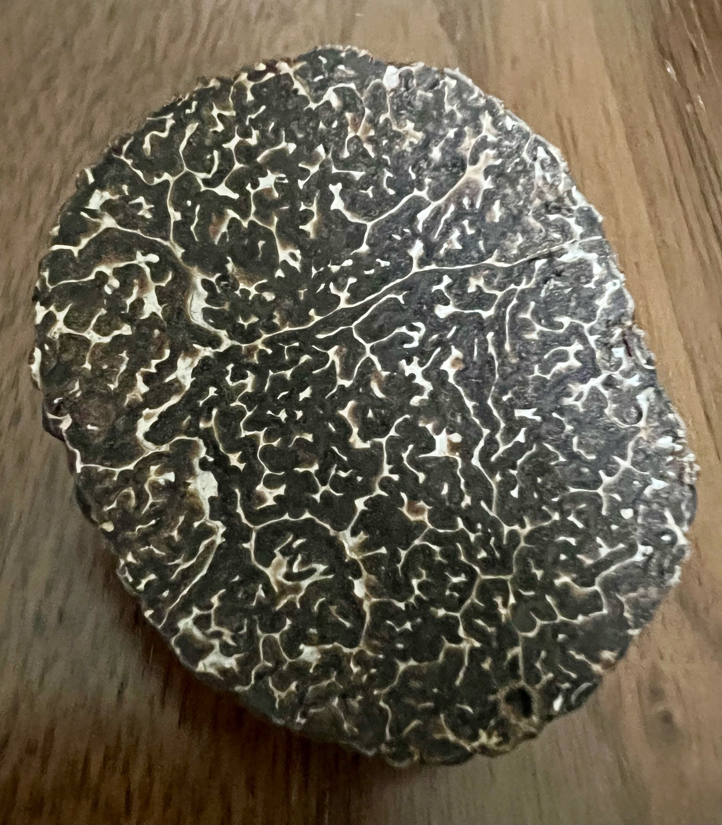 truffle 1.jpeg