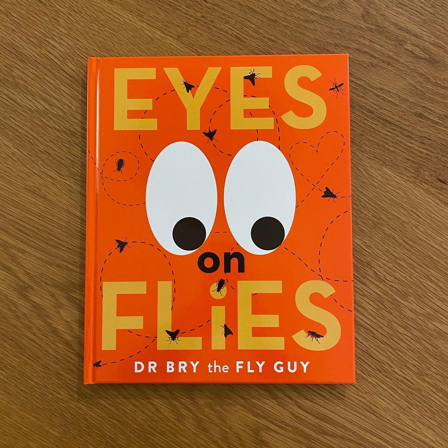 Eyes on Flies (Dr Bryan Lessard)