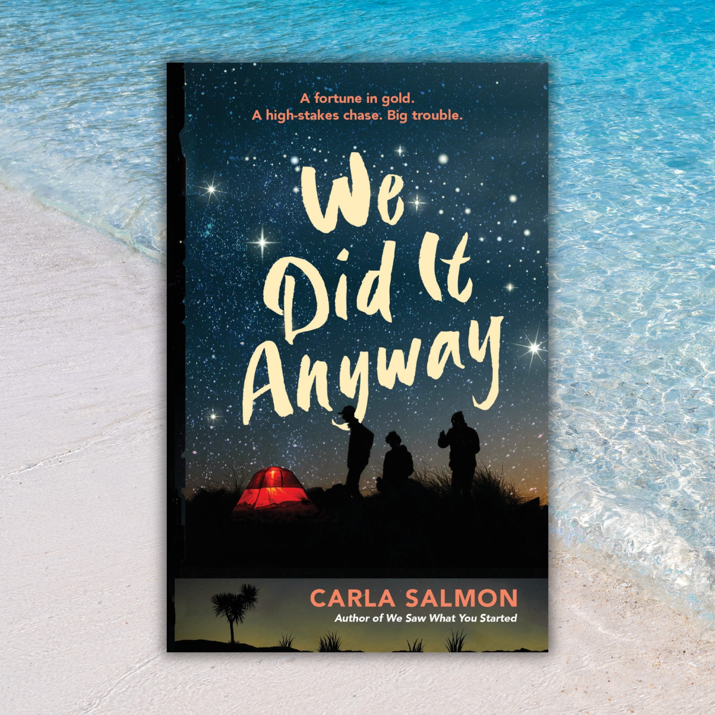 Out now: We Did it Anyway 