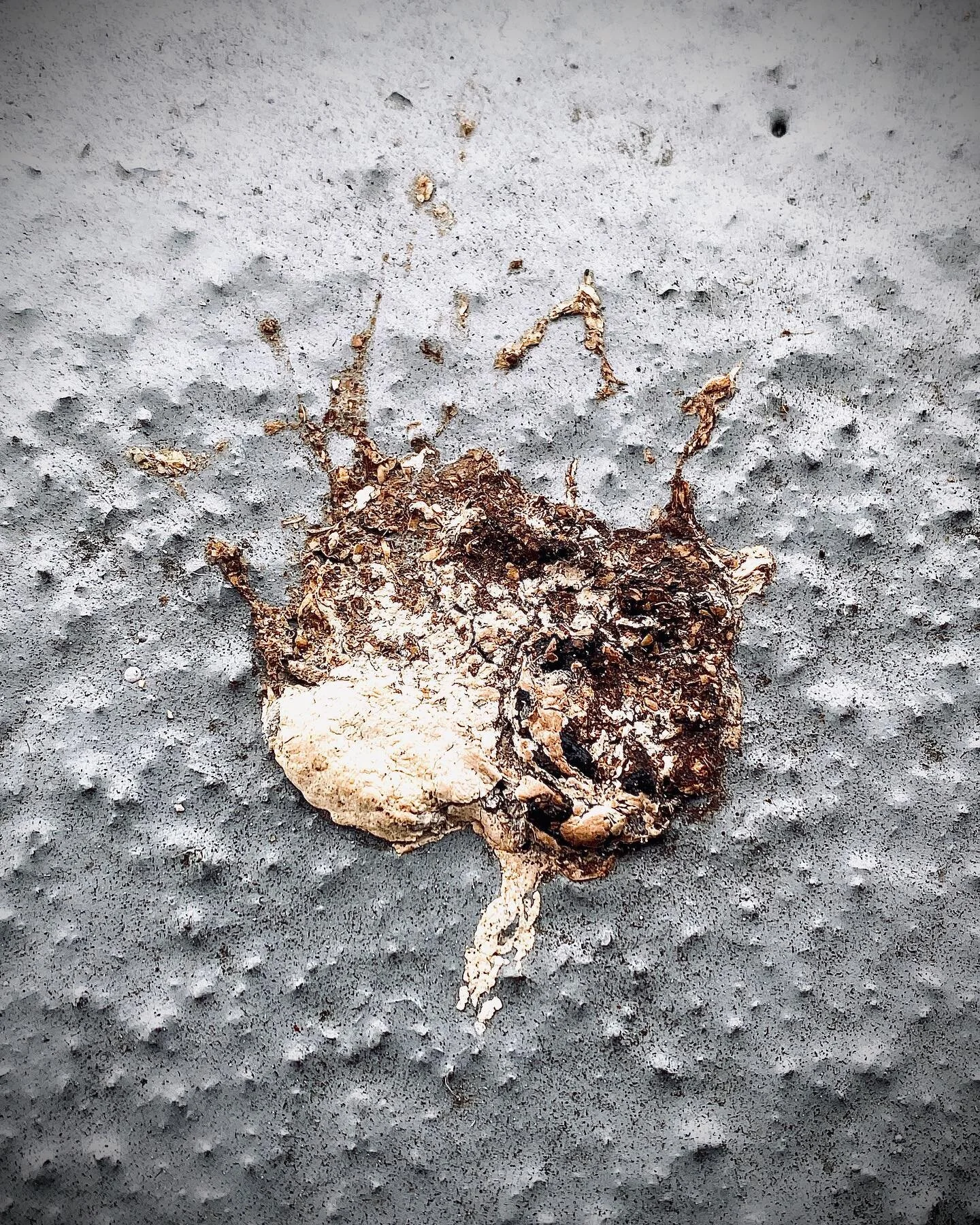 This is bird shit 💩

I love to #travel. Like everyone else on this platform, I also like to post beautiful travel photos. But travel is not always sexy. I&rsquo;m staying in an awesome apartment looking over the bay and at the San Francisco skyline.