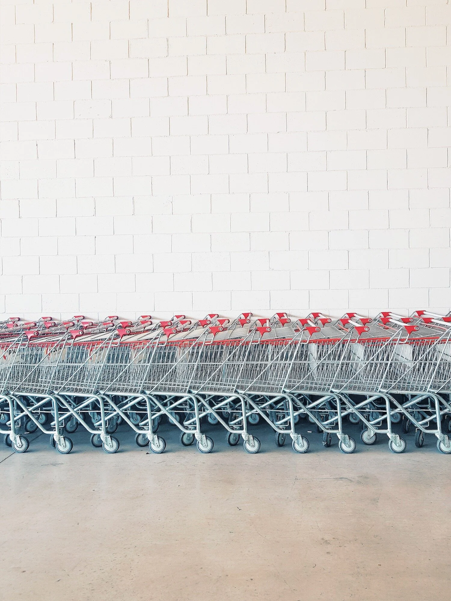 Preparation of test protocols.jpeg