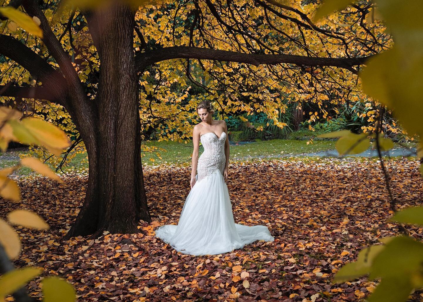 Gotta love those Autumn colours at Fitzroy Gardens ❤️ 🍂 
&bull;
&bull;
💃🏼: @fedecosino 💅: @narlisy 👗: @aleemyusufcouture 
&bull;
&bull;
#bridalphotography #weddingphotography #weddingphotographer #melbournephotographer #melbourneweddingandbride 