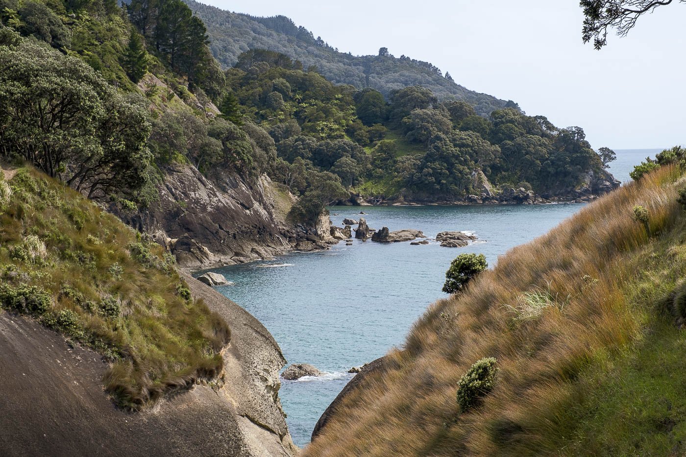Coastal views along the Waihī Beach to Homunga Bay walking track in the Bay of Plenty