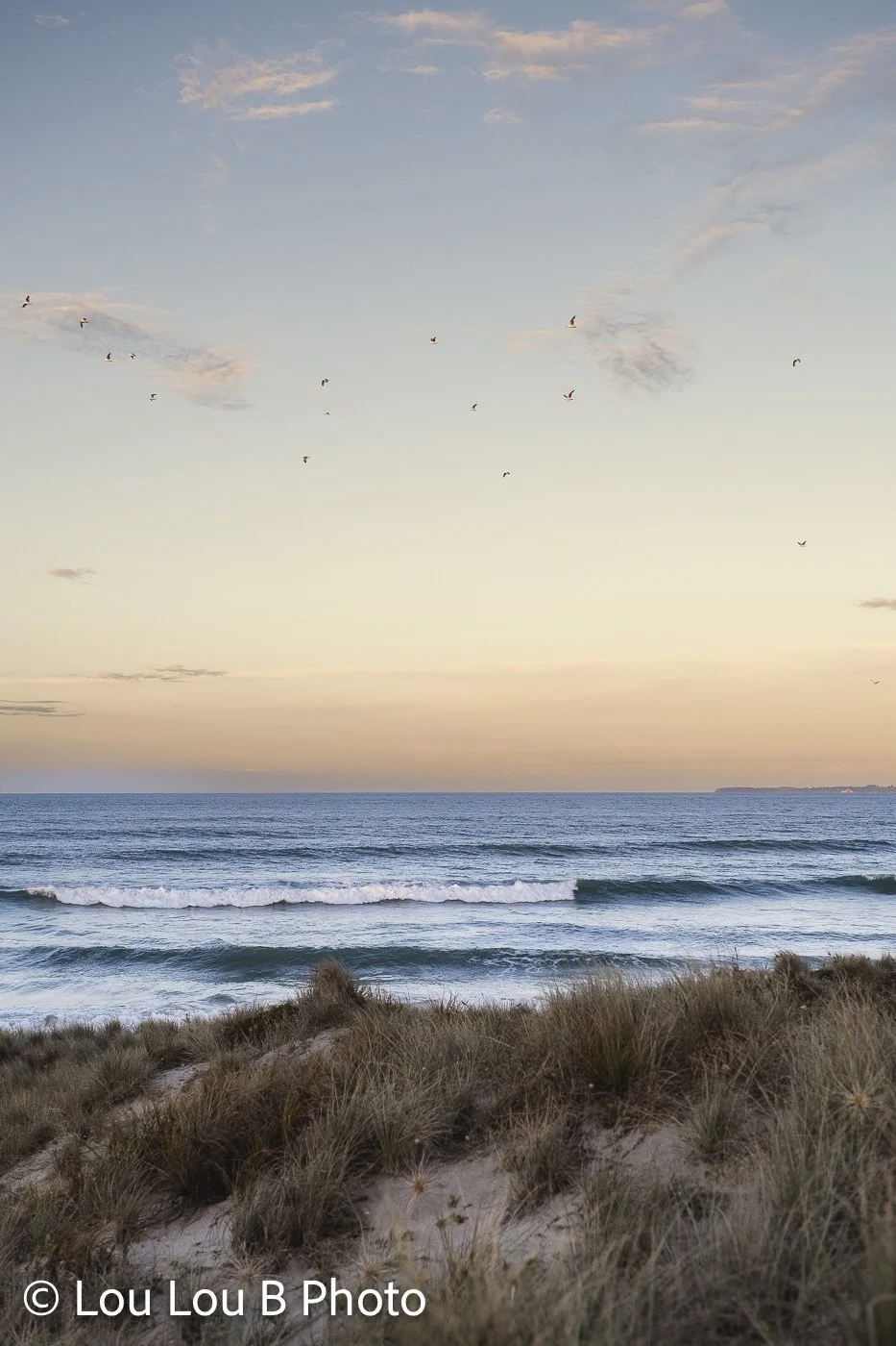 Ocean swell rolling toward a sandy coastline beneath a soft pastel sky with seabirds overhead.