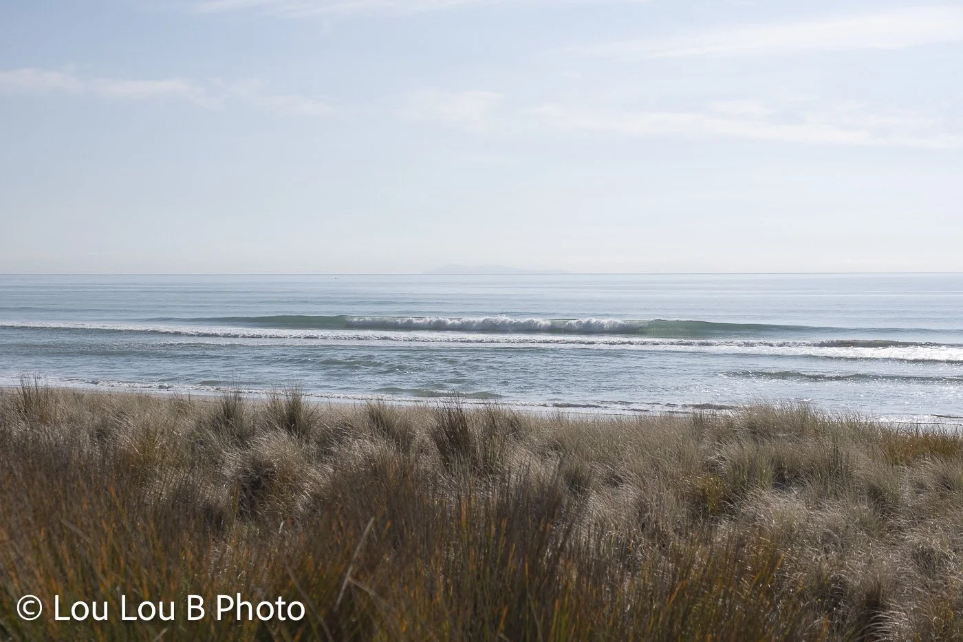Soft blue ocean viewed beyond golden coastal grasses beneath a pale, hazy sky.