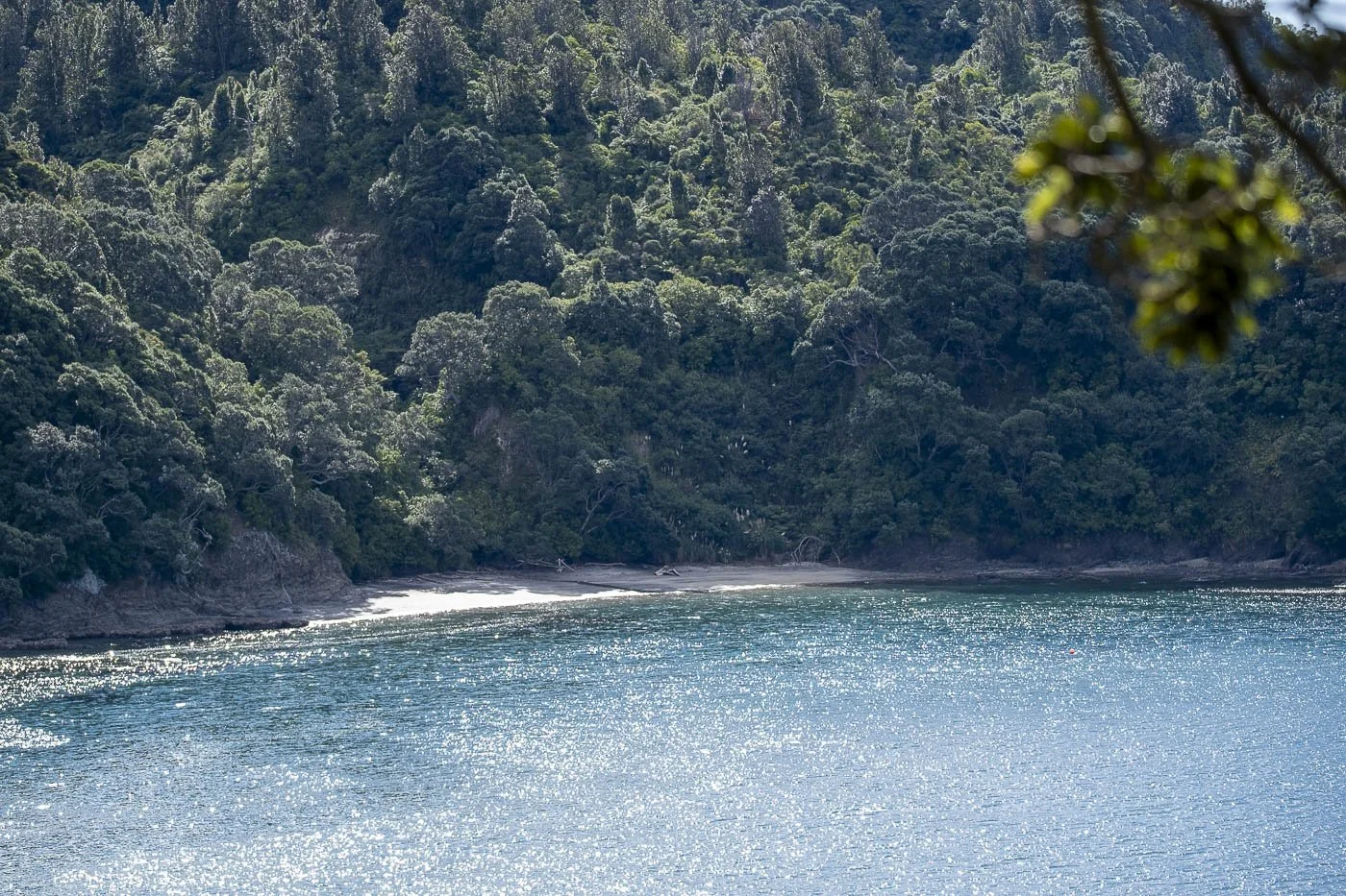 Secluded coastal bay surrounded by native bush on the Ngā Tapuwae o Toi walkway in Whakatāne