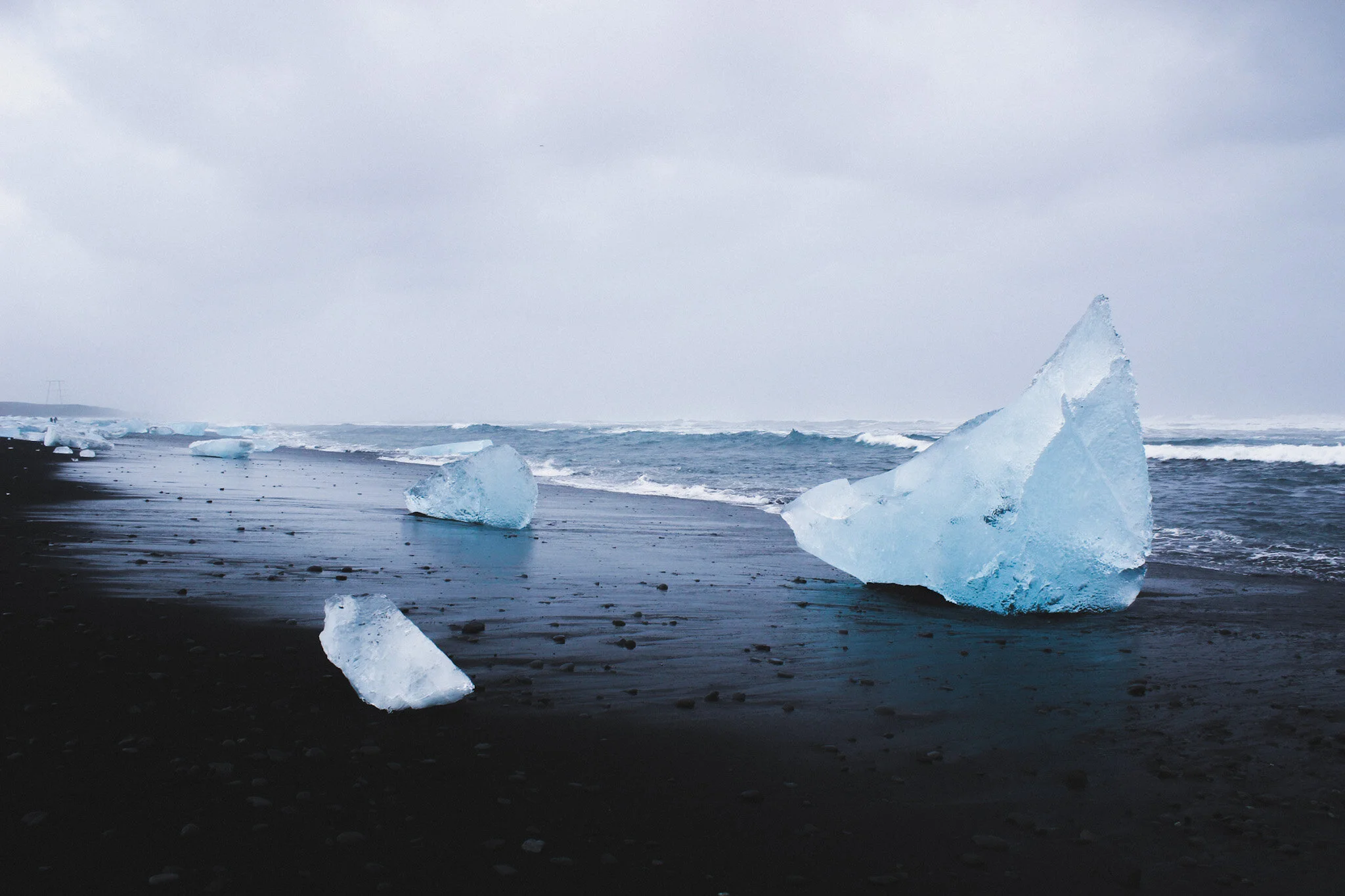A dramatic view of a black sand beach in Iceland. The beach is covered in large chunks of icebergs, some of which are floating in the water. The contrast between the black sand and the white icebergs is striking, while the grey skies in the backgroun