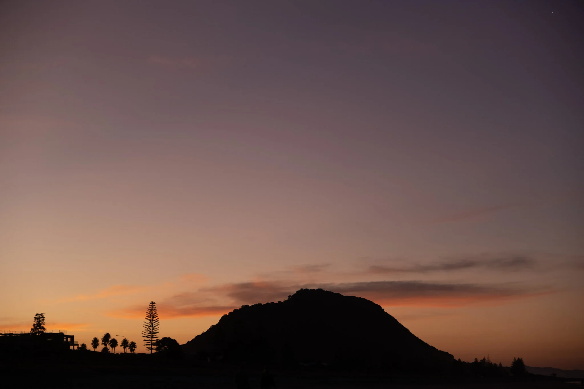 Mount Maunganui silhouette with Tay Street palm trees against a pink and orange sky after sunset, photographed during blue hour by Mount Maunganui Photographer Lou Lou B Photo.