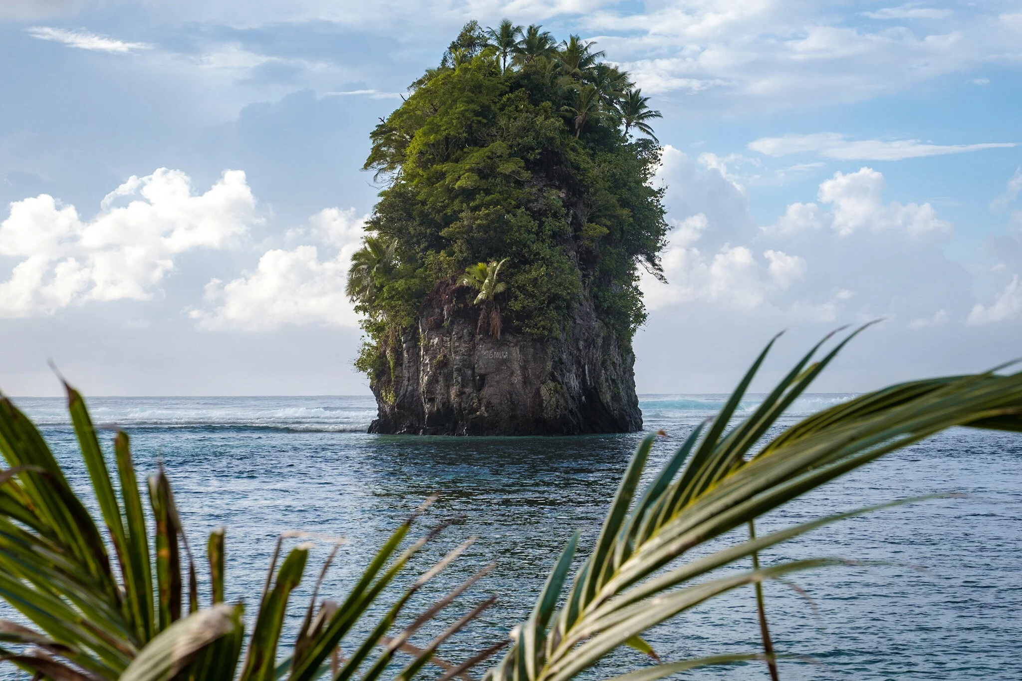 An iconic rock formation in the turquoise ocean of American Samoa. The serene lagoon is visible in front of the rock. The scene is framed by palm leaves in the foreground, giving a tropical beach landscape vibe by Lou Lou B Photo.