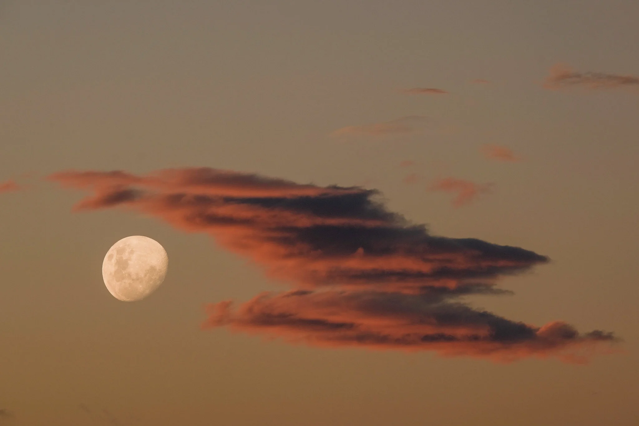 Be awed by the cosmic beauty of this waxing gibbous moon, captured just after sunset. The striking 3D-like clouds painted in pink and purple hues add an otherworldly quality to the serene and soft peachy orange sky. A captivating and mesmerizing moon
