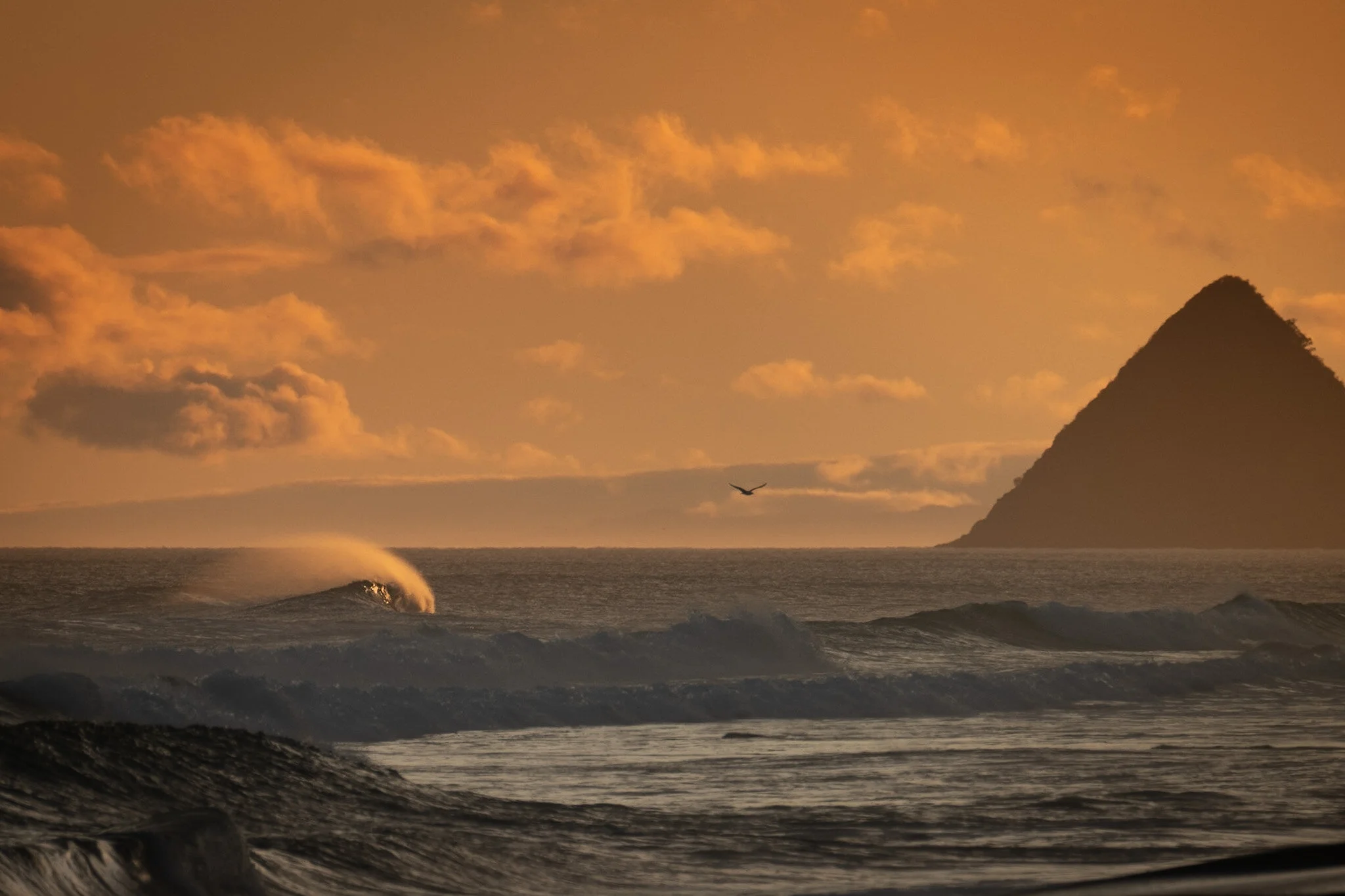 A golden morning in Taranaki, New Zealand. A perfect wave breaks in the foreground, with the iconic Paritutu Rock silhouetted in the background. The warm, orange light of sunrise illuminates the scene, creating a stunning contrast between the dark bl