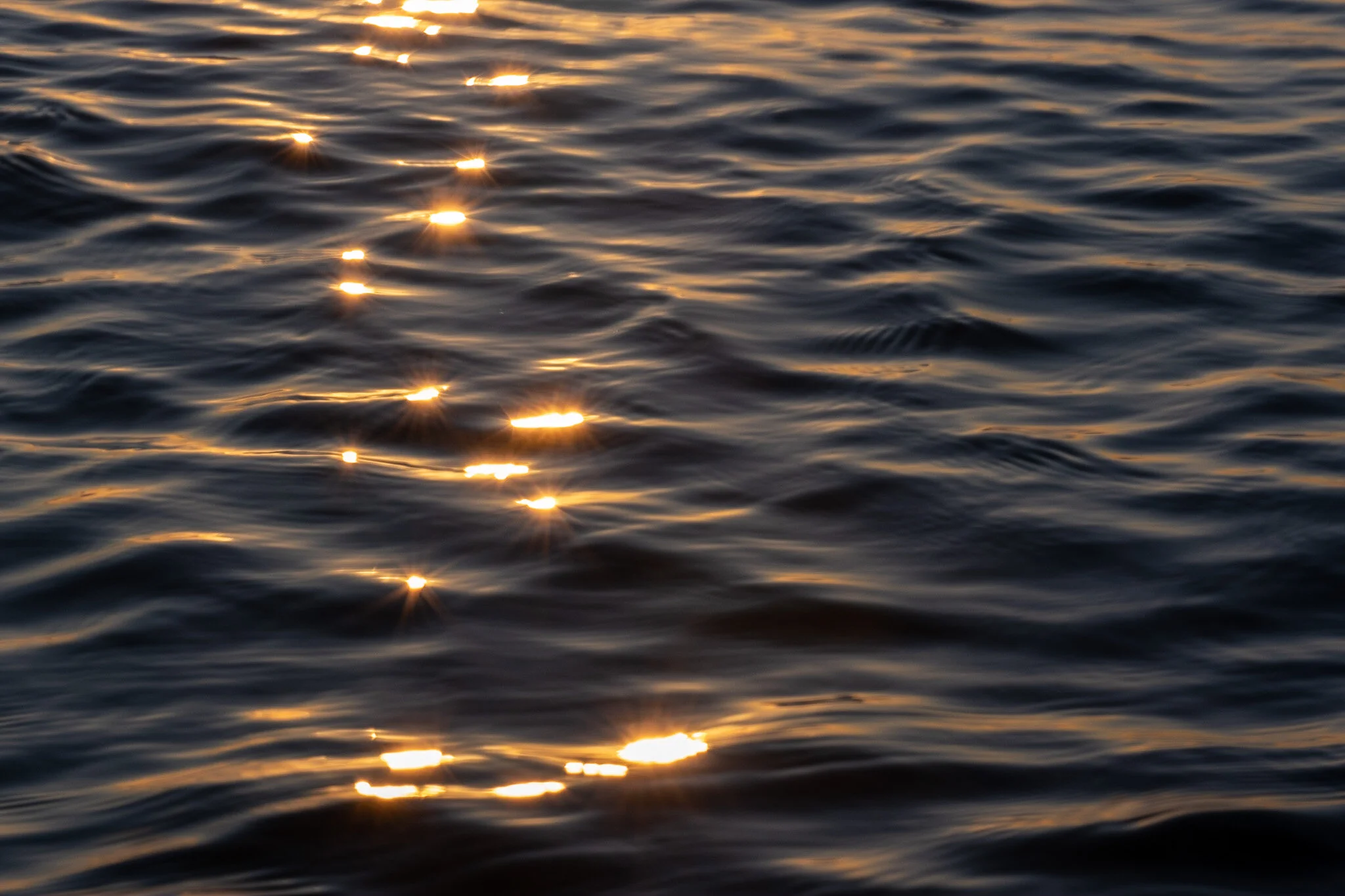An abstract close-up photo of the ocean surface captured at sunrise, displaying calm water with ripples, and sparkling reflections of sunlight. The golden hues and shimmering sparkles give the impression of liquid gold. Photographed by ocean photogra